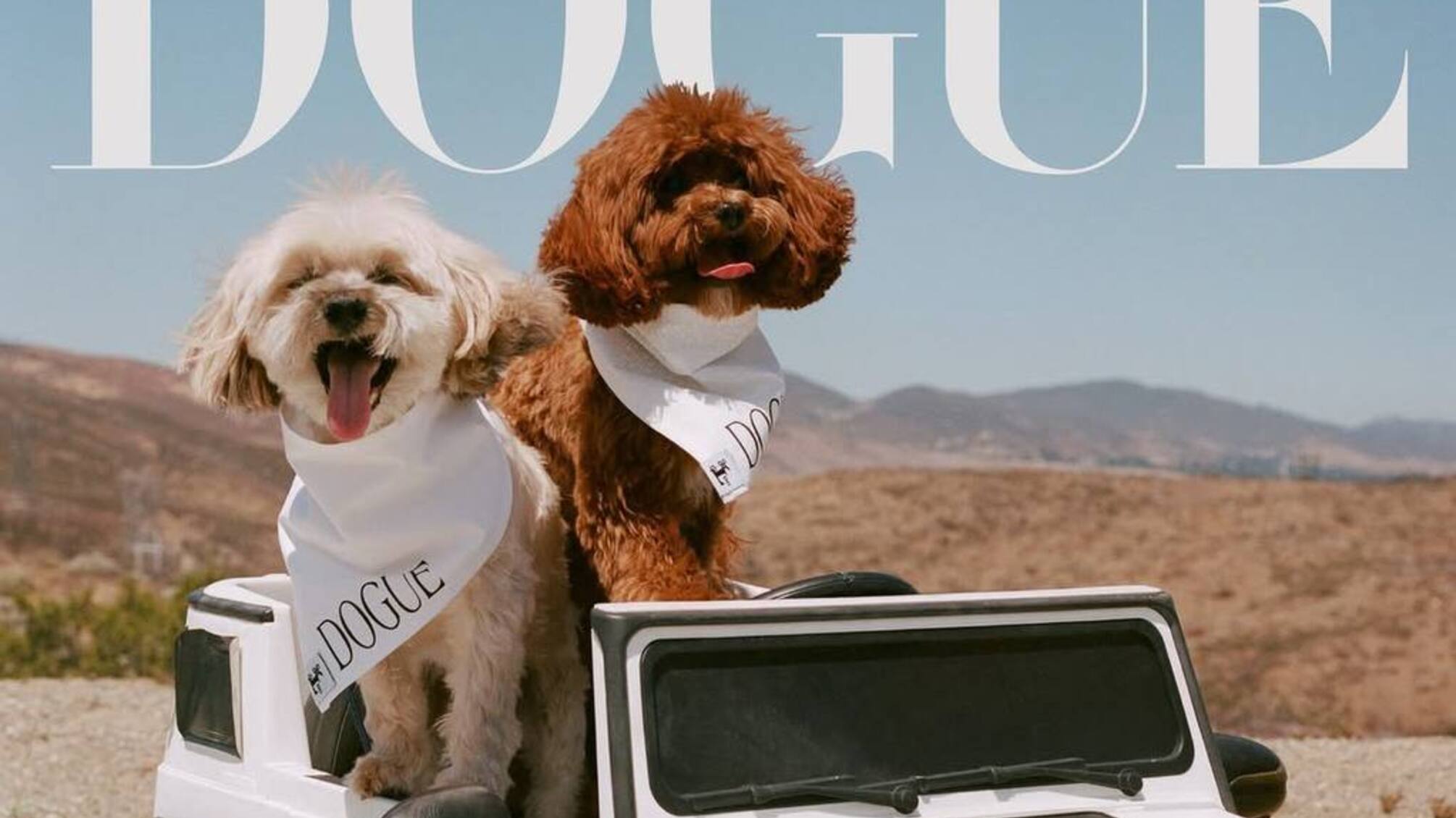 Сабрина Карпентер, Розе, Малума и их любимчики на обложках Vogue