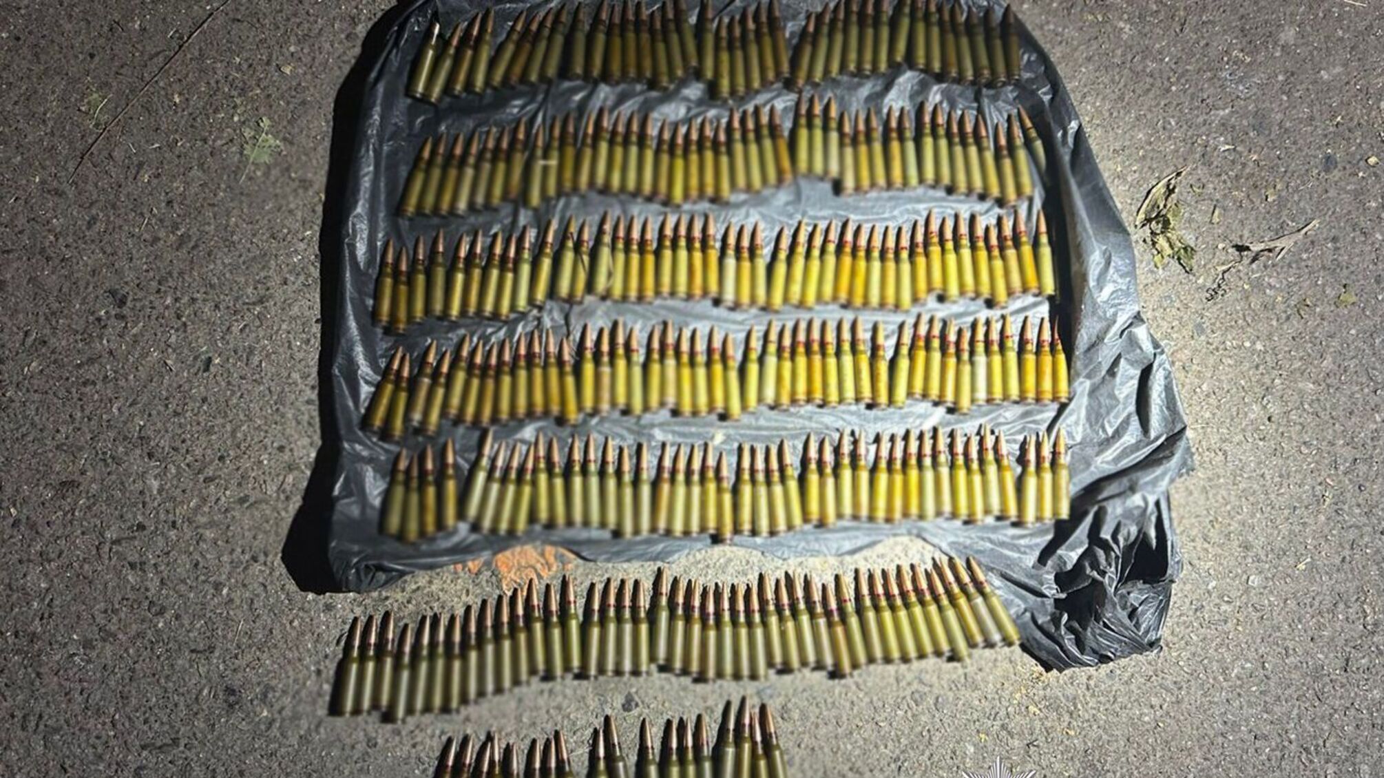 7 років за домашній арсенал: на Одещині затримали чоловіка з гранатами та сотнями набоїв