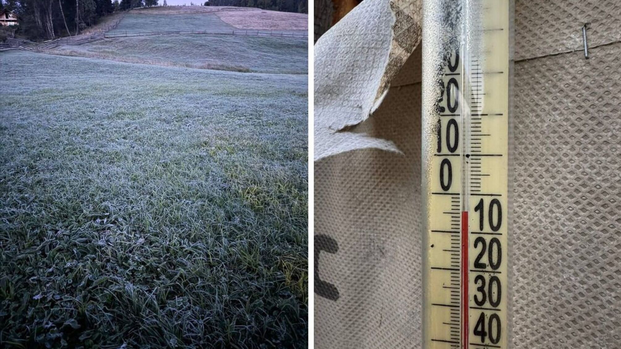 На Буковине ударили заморозки до -5°: местные говорят, что еще слишком рано для мороза