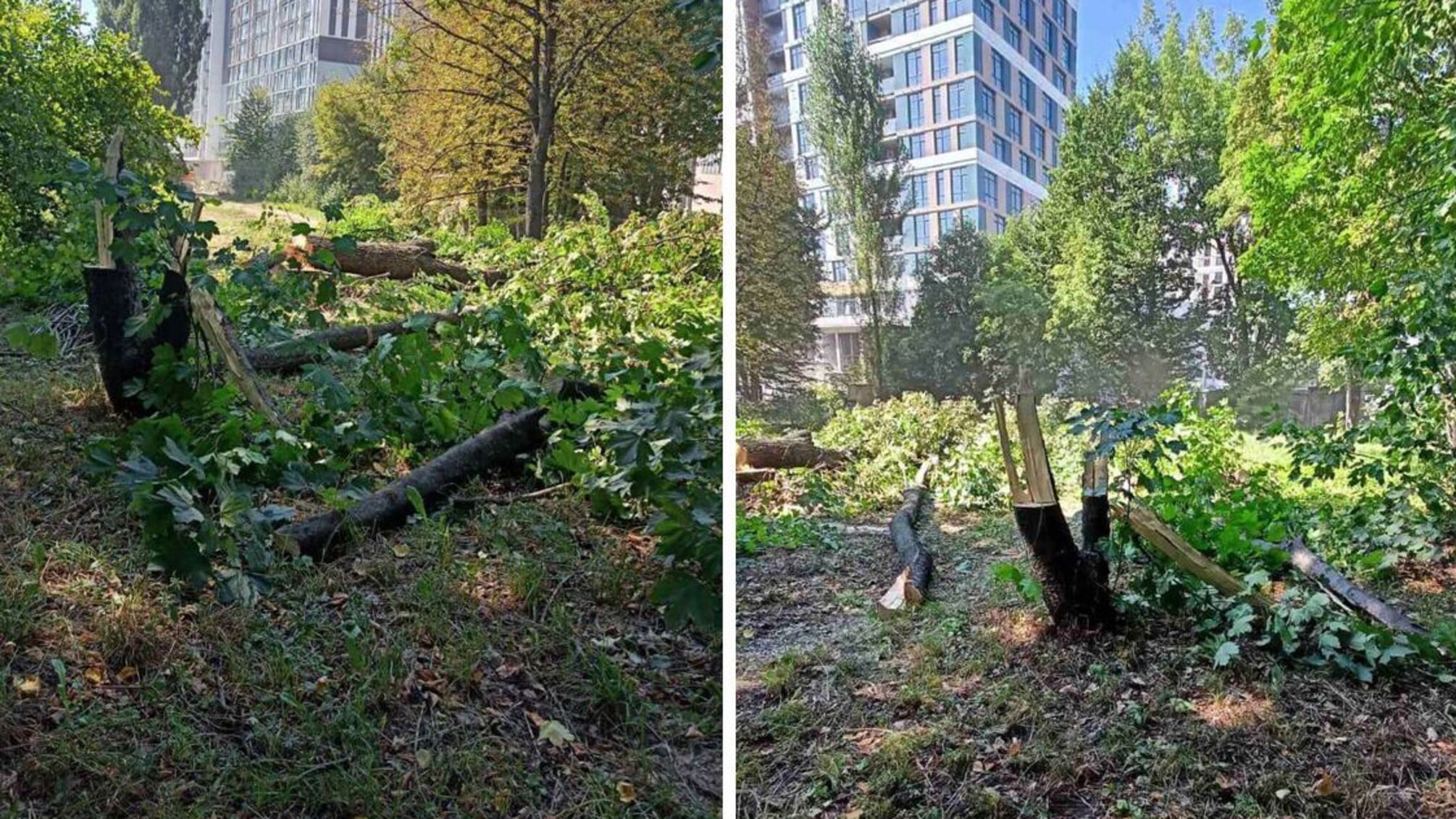 Жители Голосеева заявили о «Лебедянском котеле»: дом окружили заборами