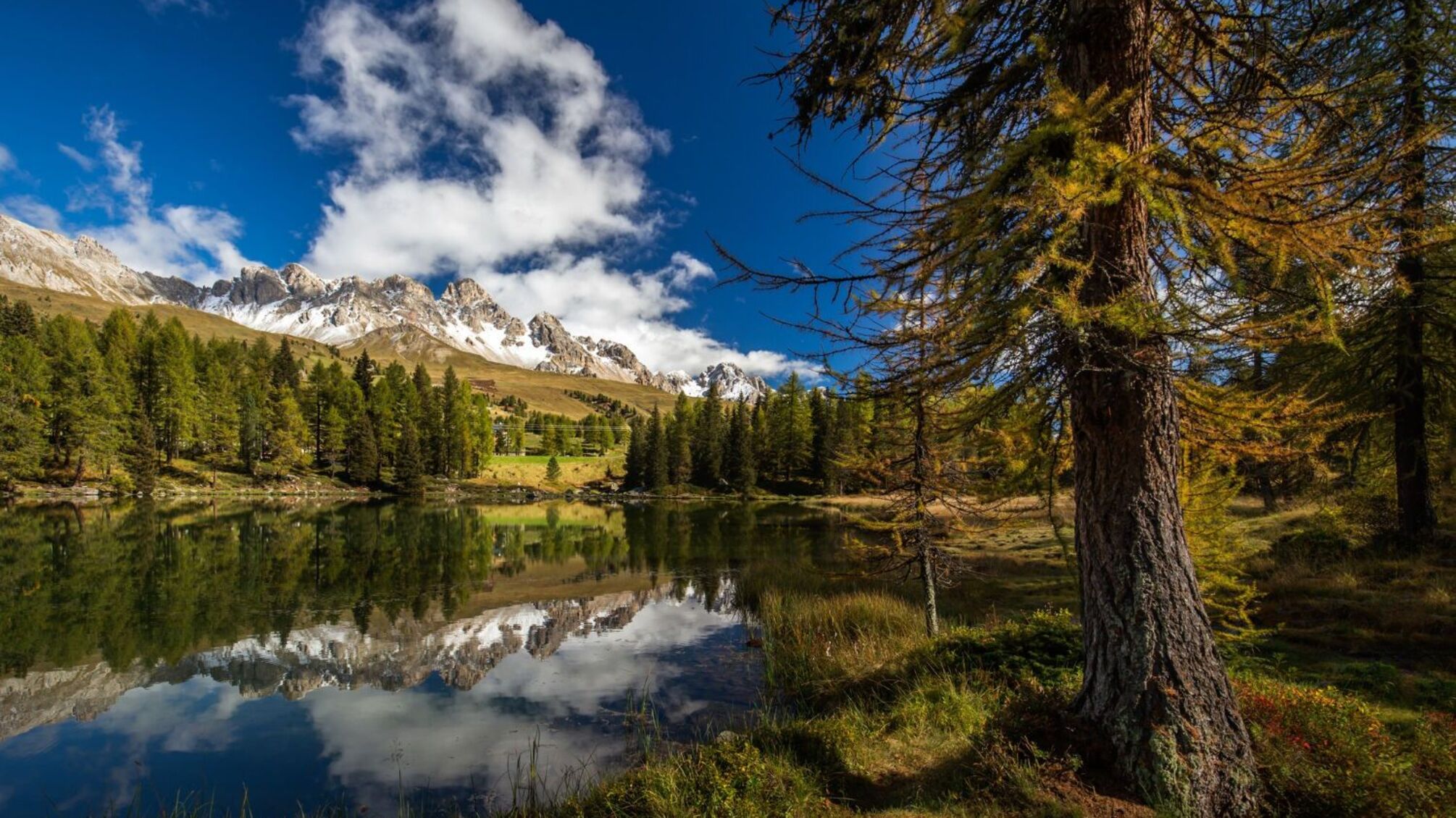Іменини 27 серпня: значення імен та небесні покровителі