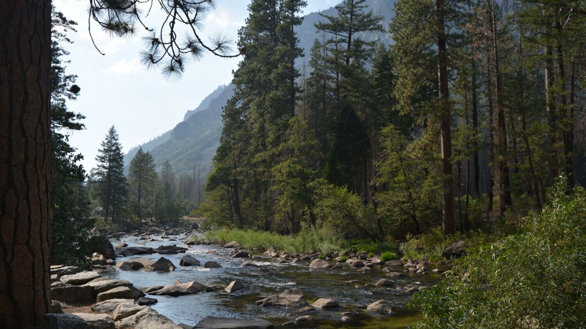 У кого іменини 29 серпня: все про день янгола Івана