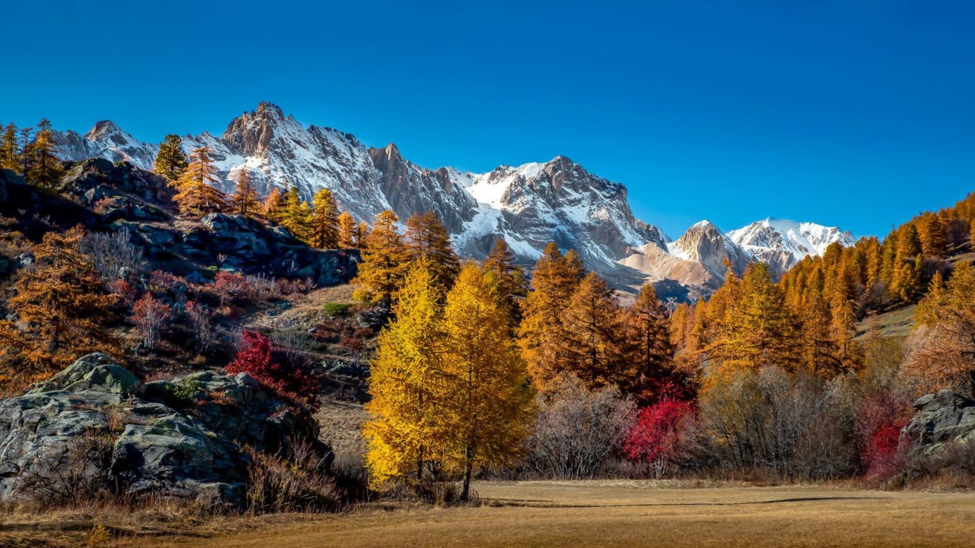 Іменини на початку осені: кого вітати 1 вересня