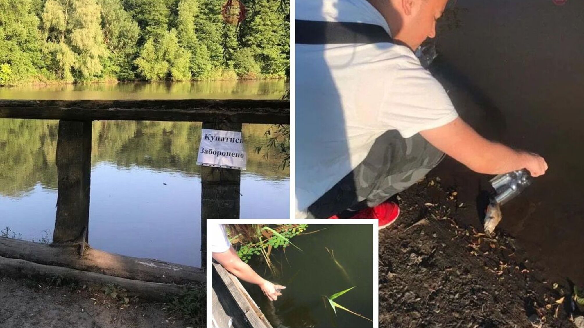 Ситуація на річці Рось