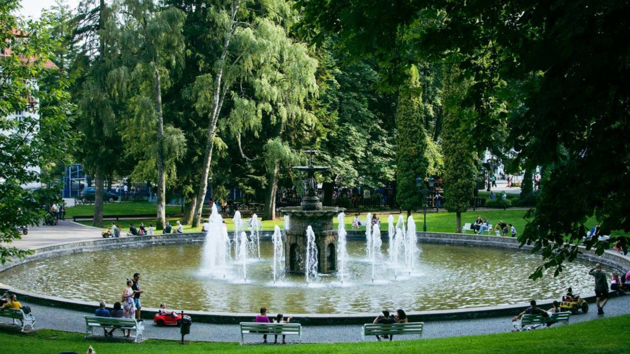 Вчені довели: короткий контакт із природою знижує тривожність у містян