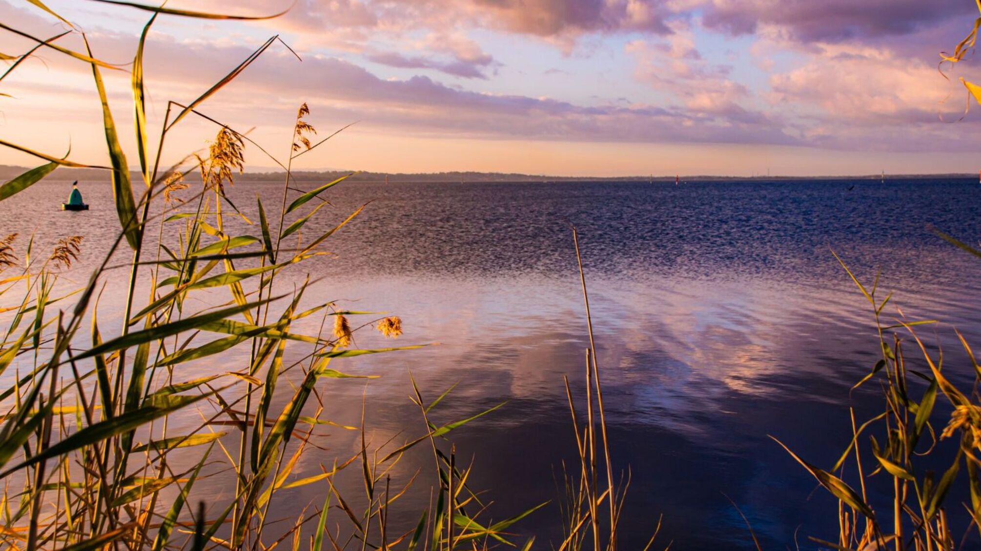17 квітня: традиції та значення дня янгола
