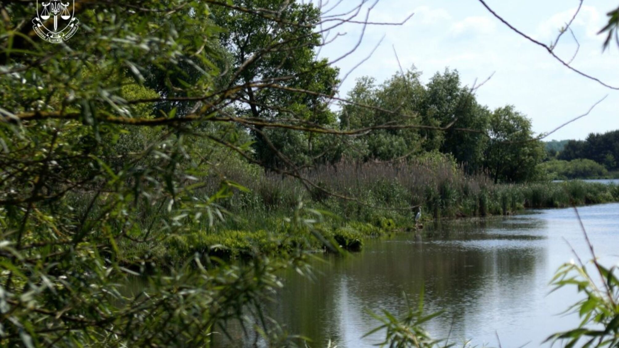Суд отстоял природу: 29 га заповедника 'Моначинский' снова в собственности государства