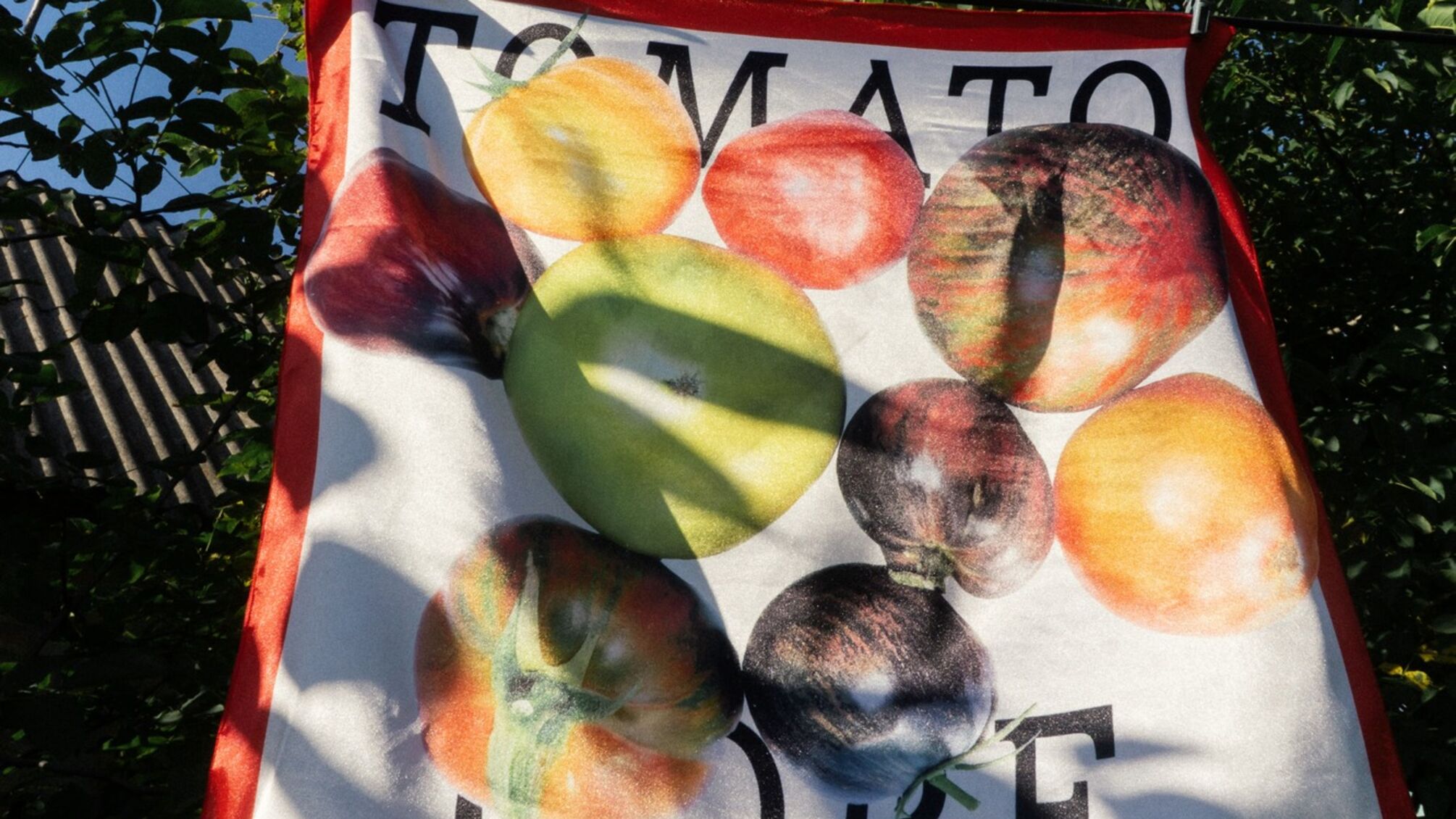 Летний вкус в стиле: Cuprum Depot и Rechi запускают лимитированную коллекцию Tomato Core