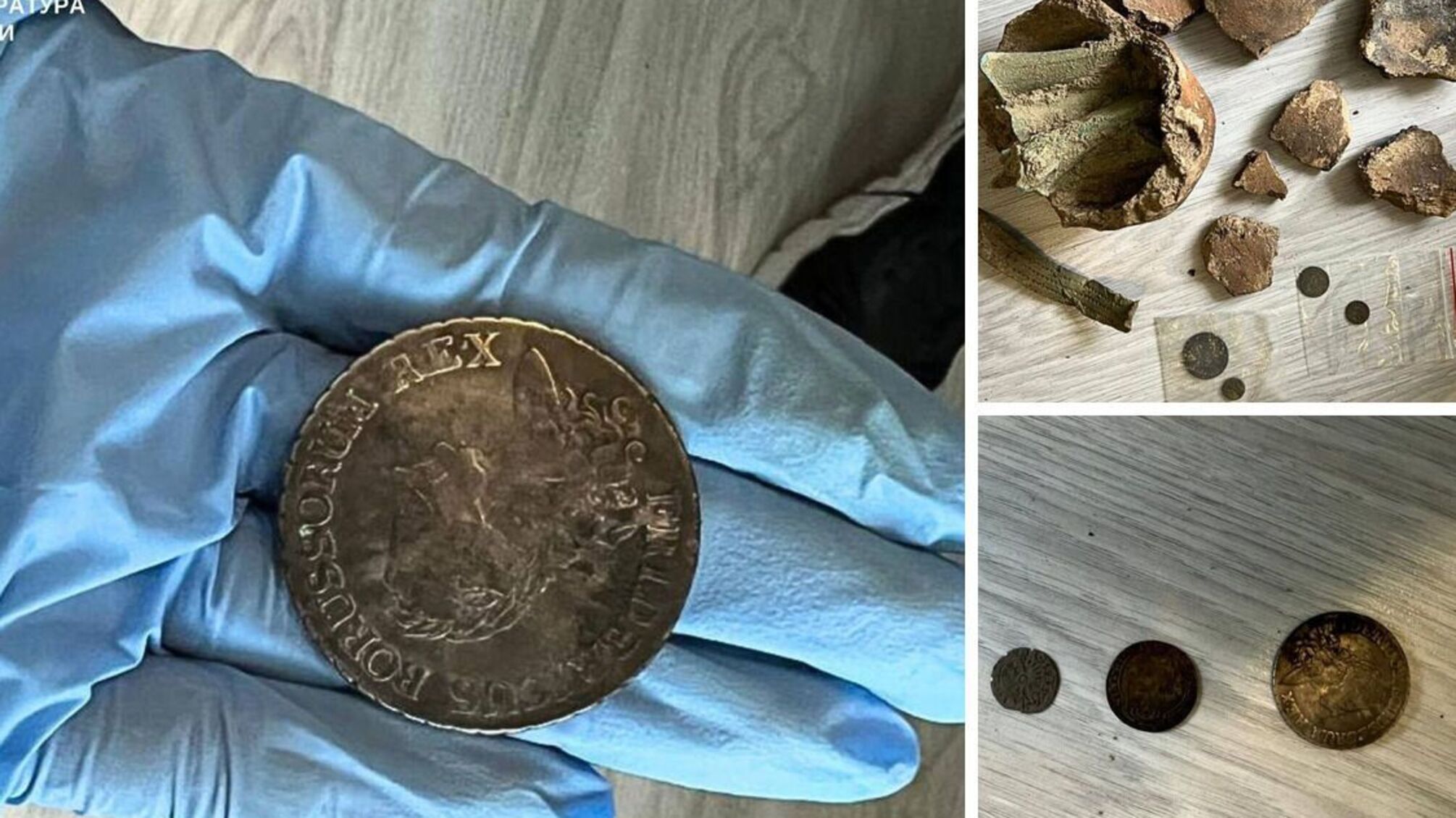 На Закарпатті судитимуть 'чорного археолога', який хотів продати унікальний скарб бронзових кельтів