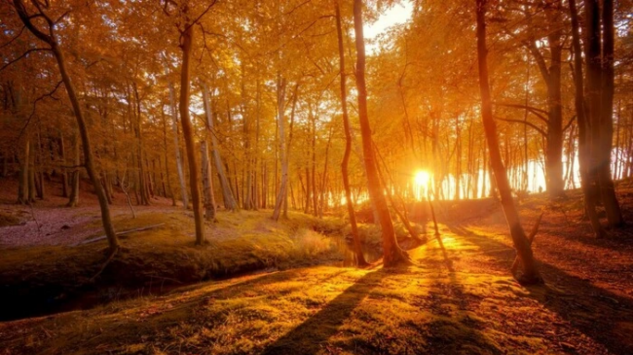 День осіннього рівнодення 2025: коли настає і що символізує