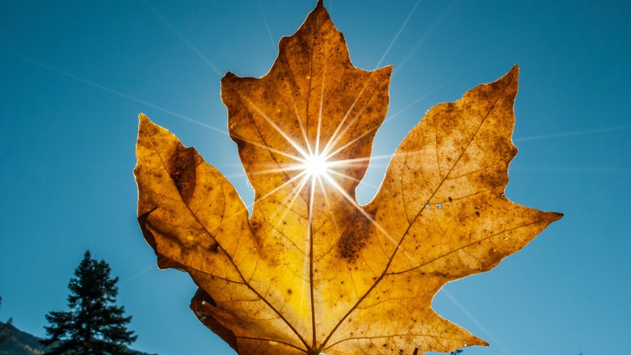 Осіннє рівнодення 22 вересня 2025: містичний баланс світла і темряви