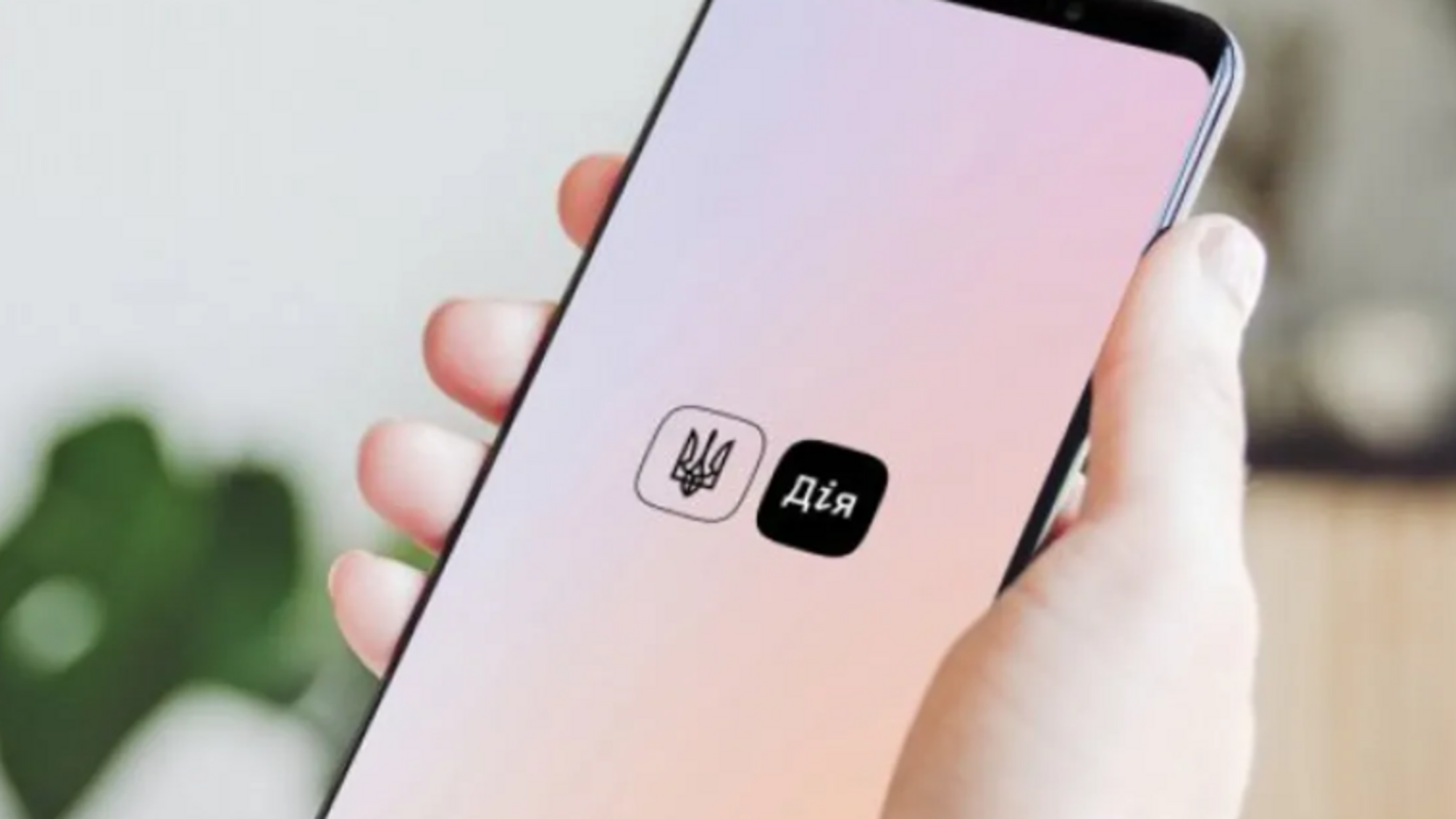 У 'Дії' з’явилася можливість оформити базову соціальну допомогу онлайн
