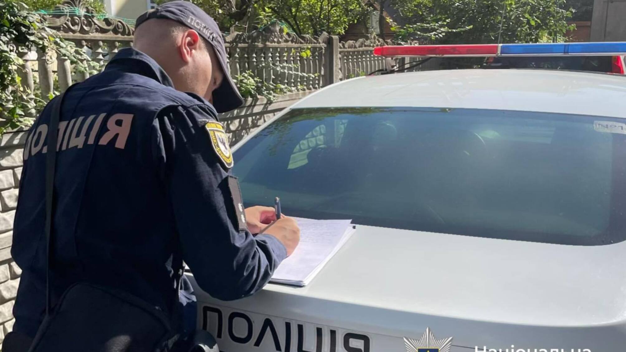 На Прикарпатье водитель сбил стадо овец и скрылся с места происшествия