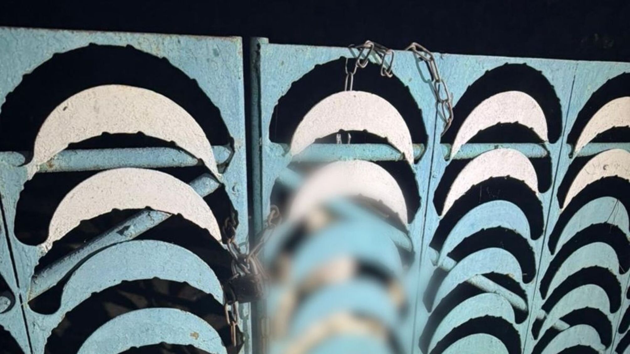 Жестокое обращение с животным в Киевской области