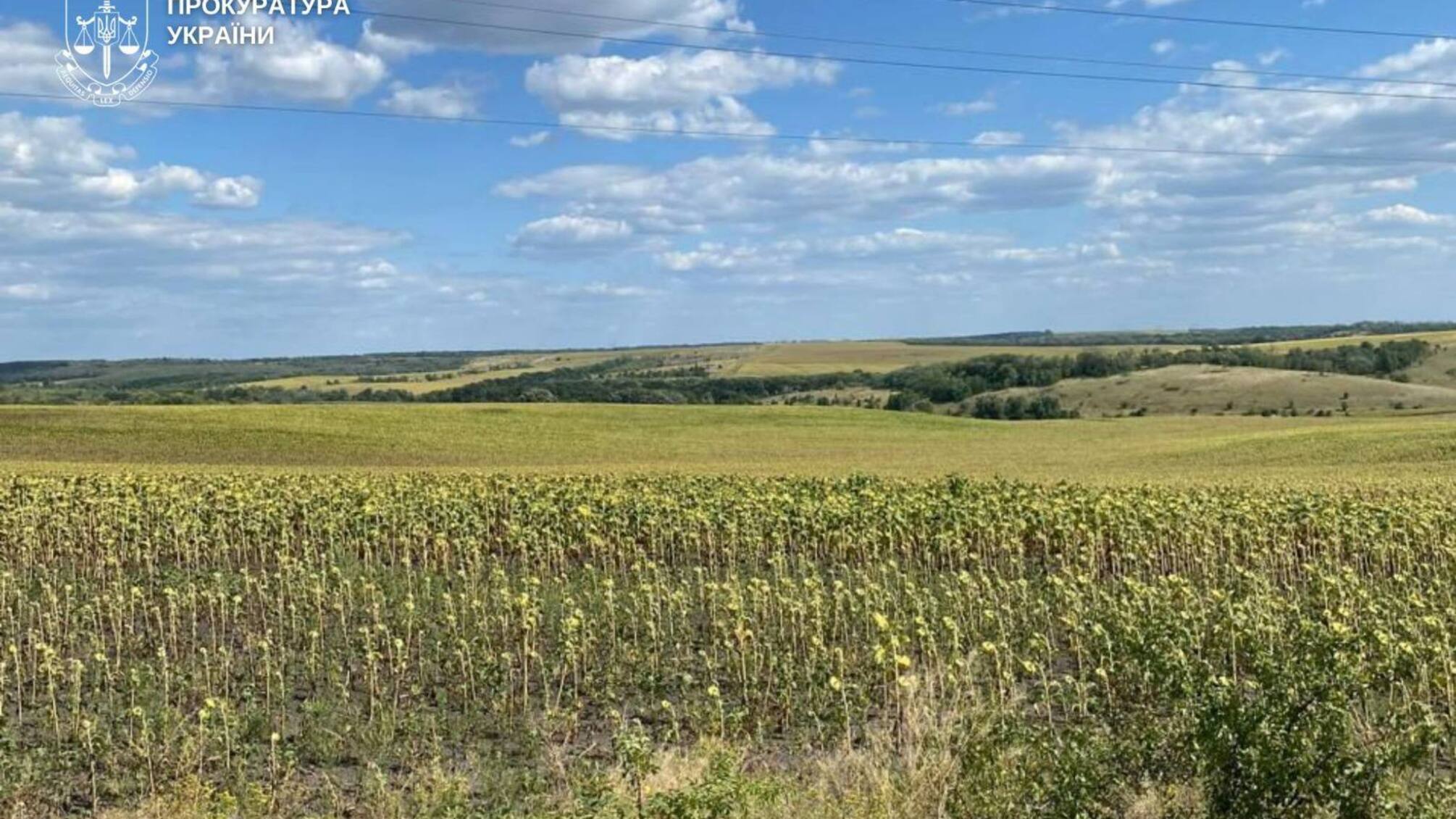 На Дніпропетровщині громадам повернули понад 700 га незаконно зайнятих земель