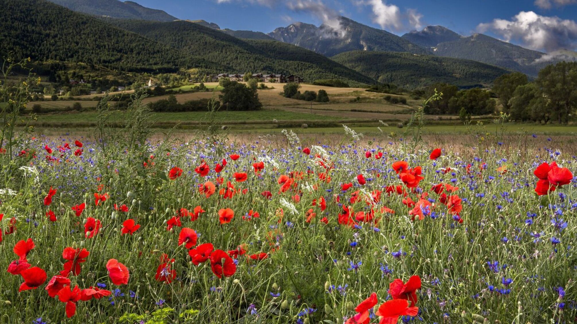 Кого привітати 23 квітня: іменини та їх особливості