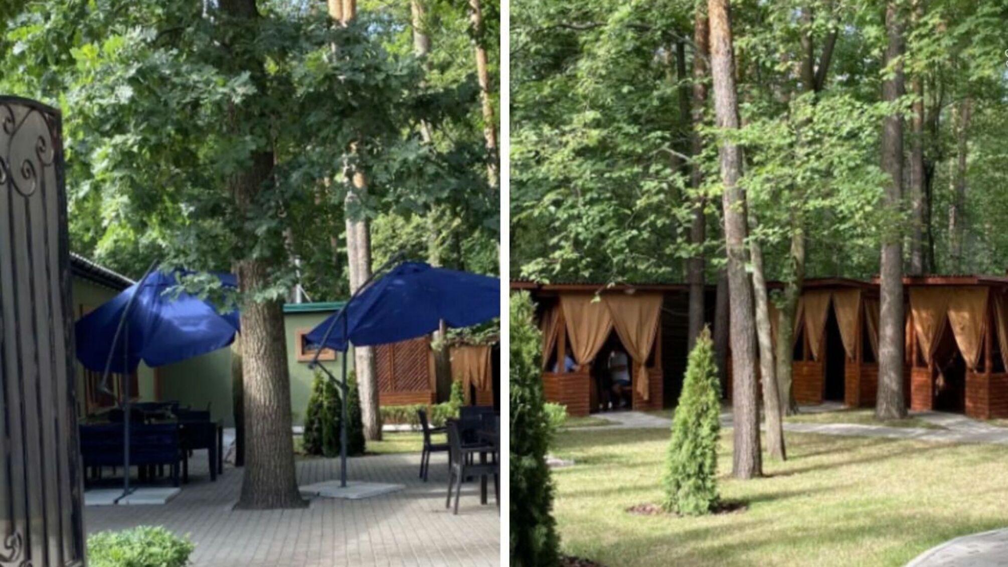 Прокуратура Києва відкрила шлях до знесення незаконного ресторану в Нацпарку 'Голосіївський'