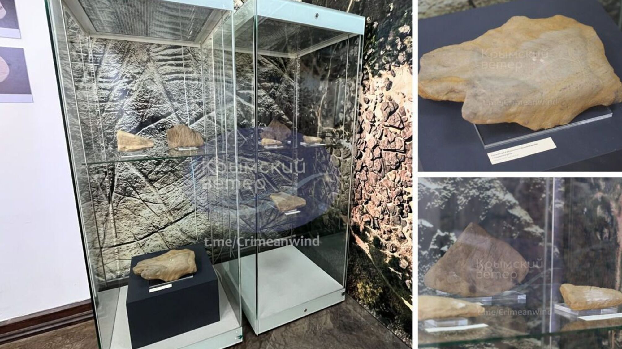 В Херсонесе снова показывают артефакты, похищенные из Каменной Могилы