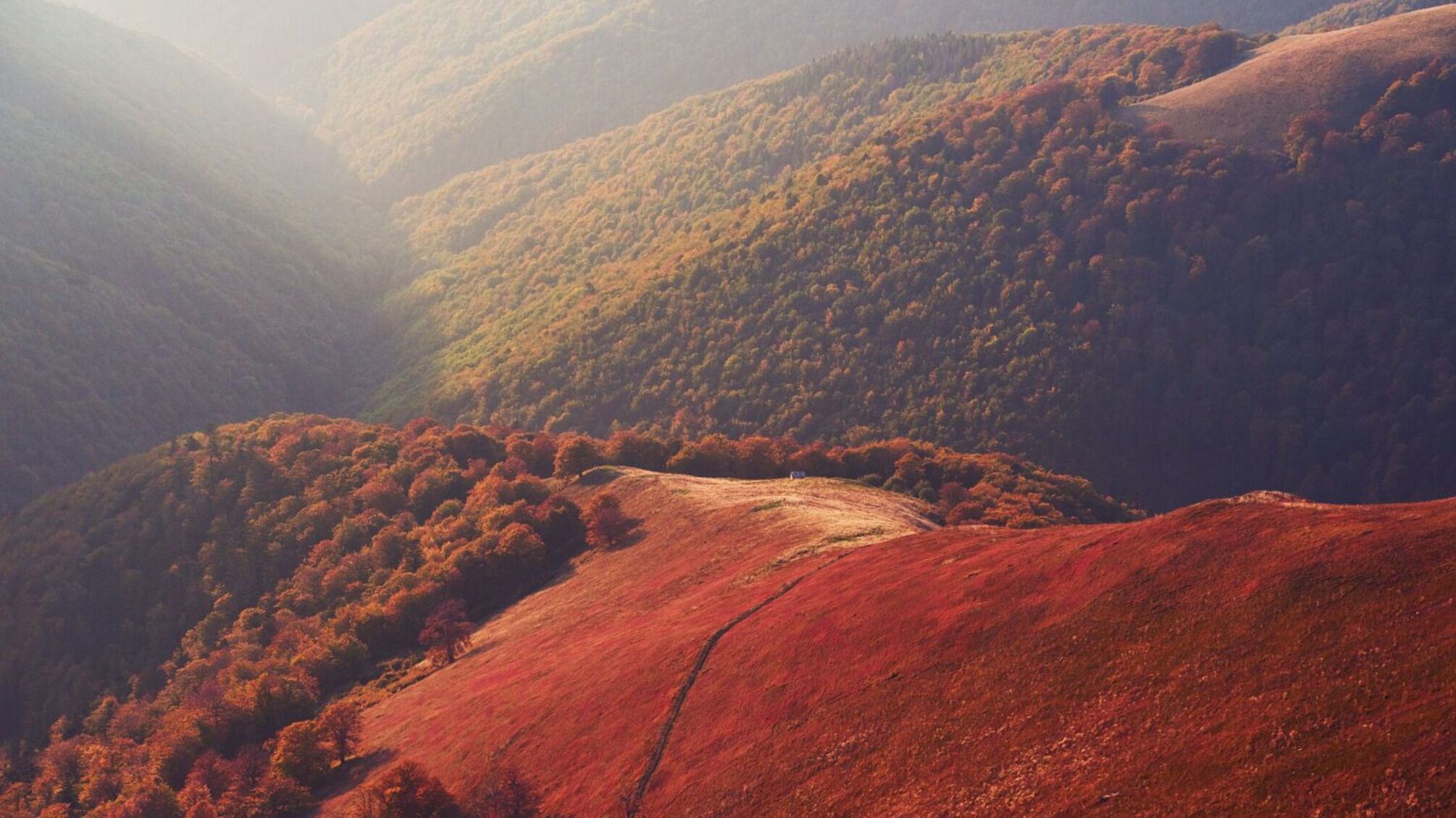 День сердца и памяти: празднование и традиции 29 сентября