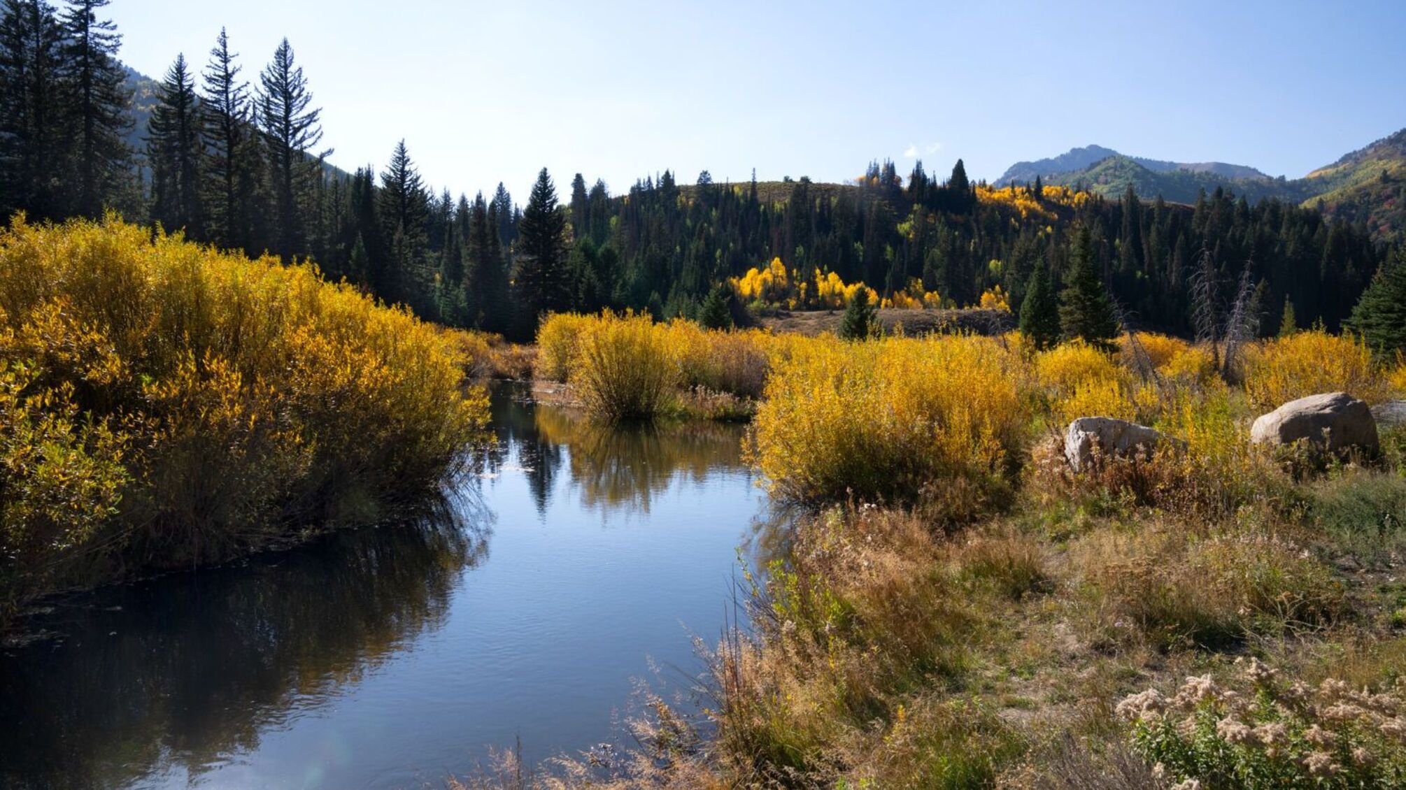 День янгола 24 квітня: традиції, імена та щирі побажання