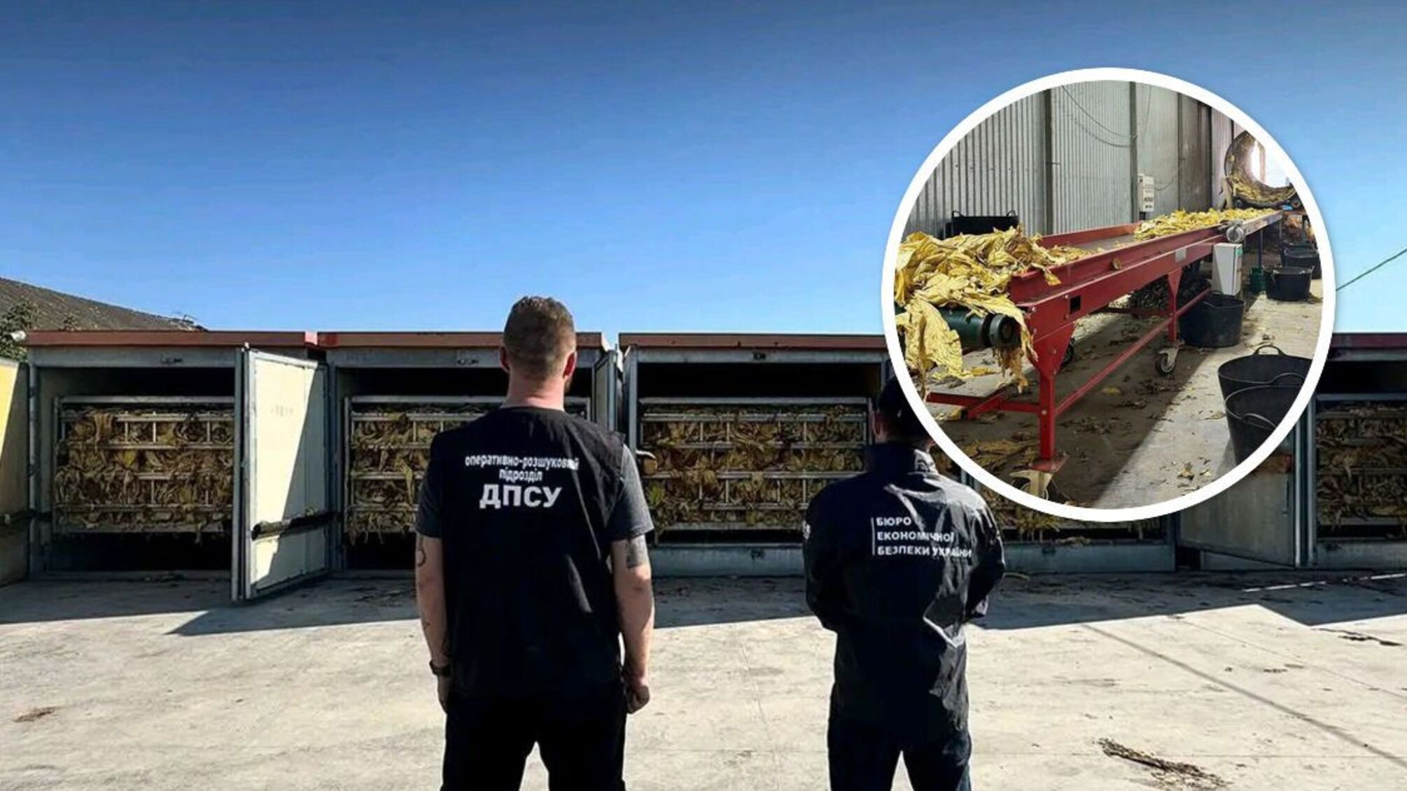 Викриття підпільного тютюнового цеху на Буковині