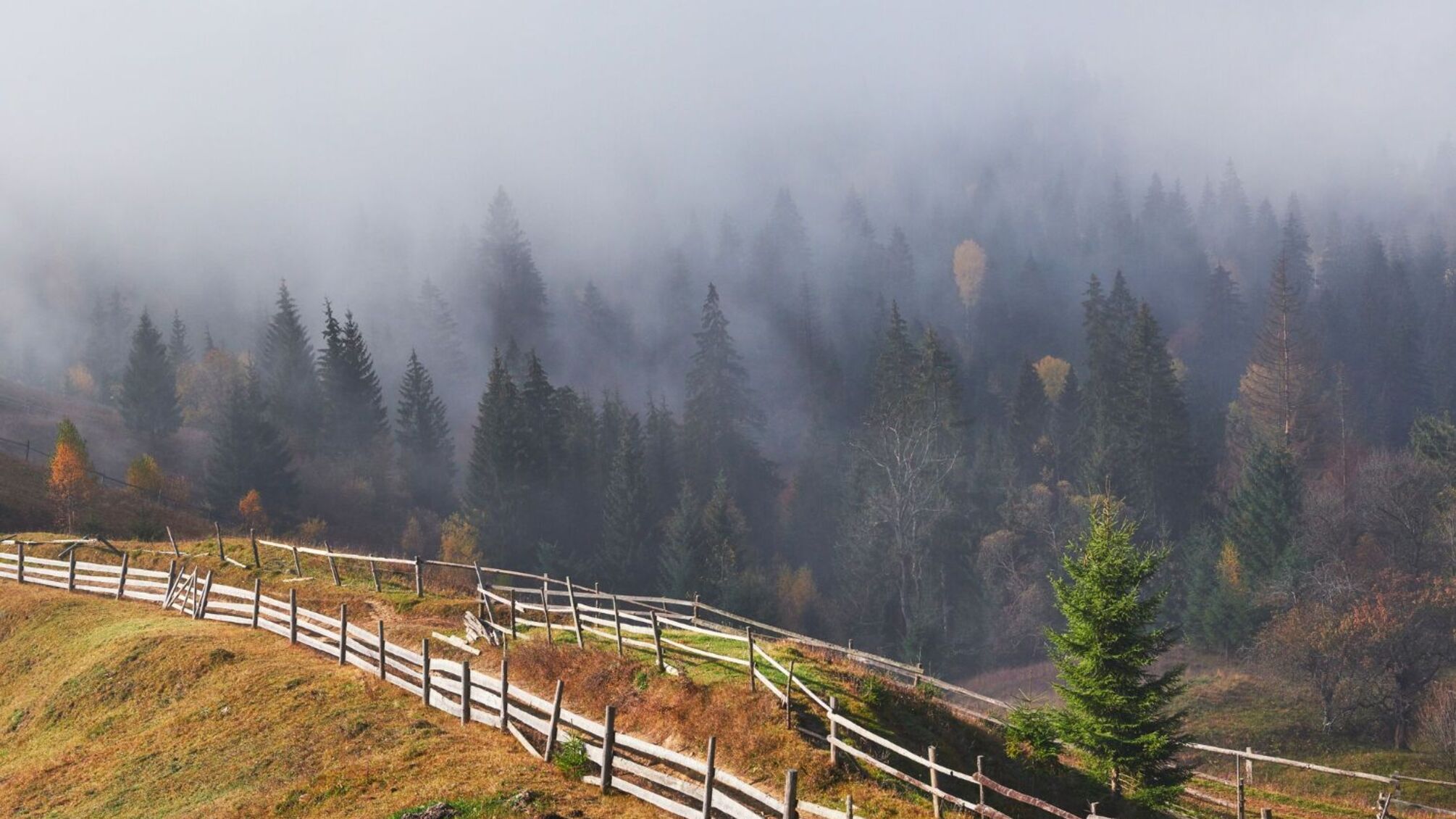 День святого 9 вересня: іменини для 12 великих імен