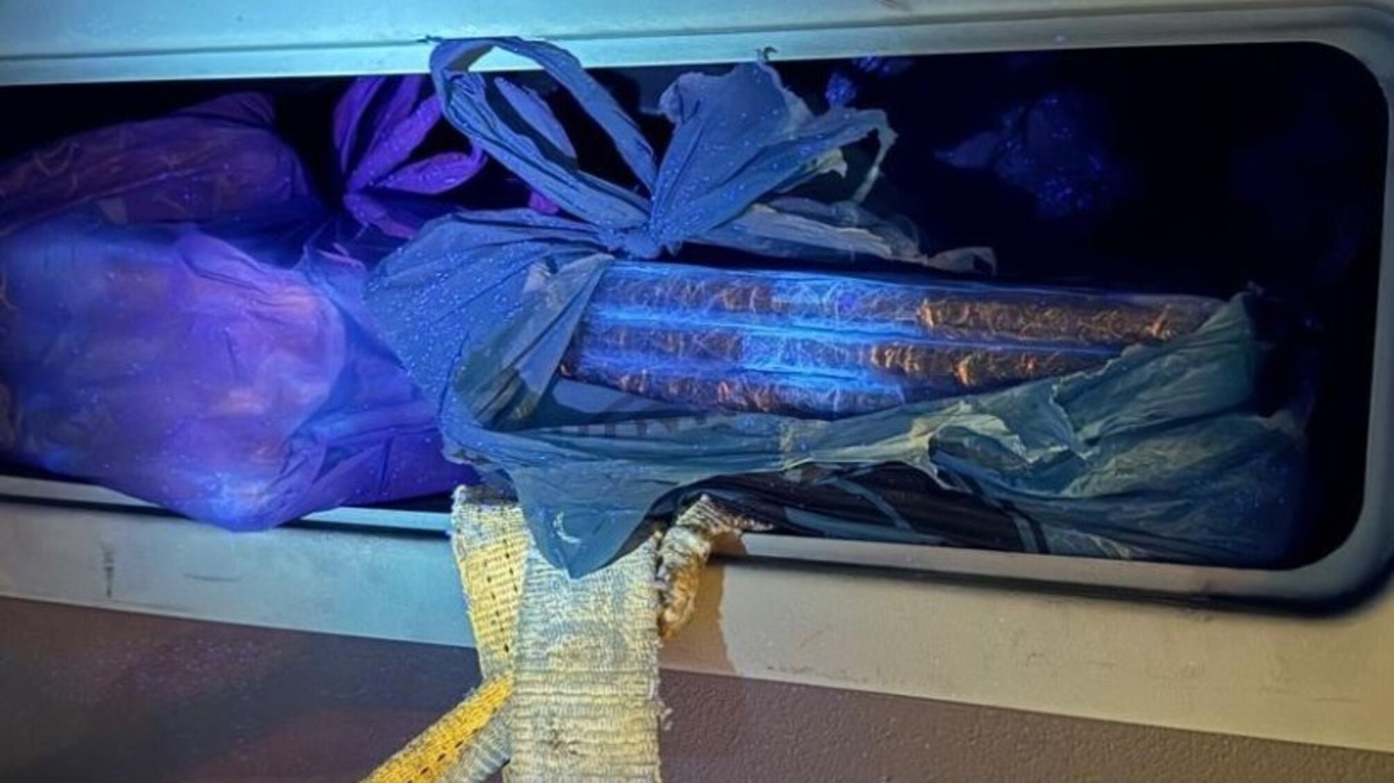 На границе с Молдовой в рейсовом автобусе обнаружили 30 спрятанных MacBook (видео)