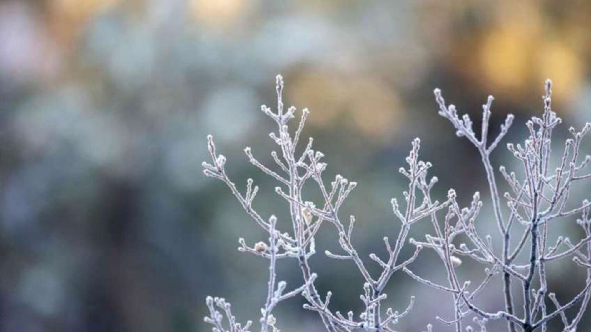 У найближчі дні на території України очікуються сильні морози