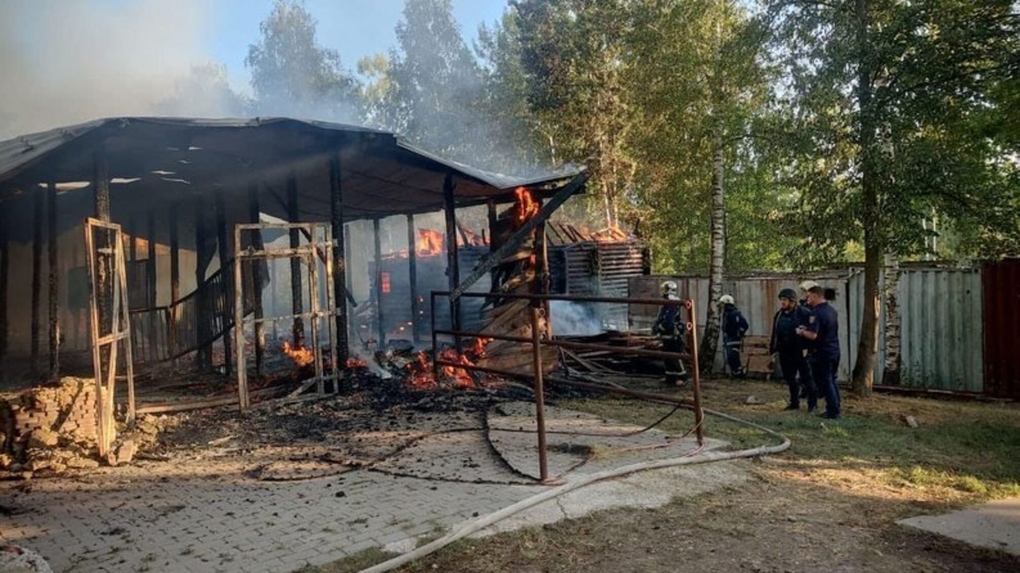 Удар КАБ по 'Фельдман экопарку': ранена волонтер, погибли птицы и пострадали животные