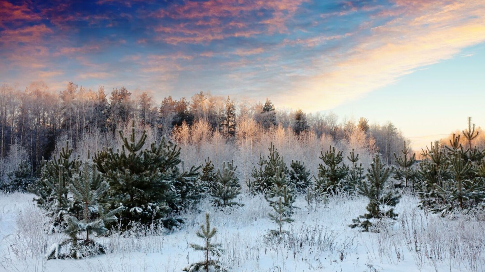 День янгола 13 січня: кого вітати сьогодні