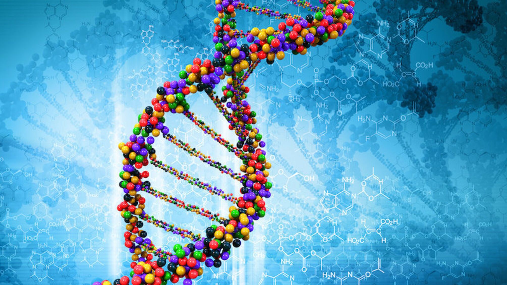 Не лише ДНК: як в Україні ідентифікують загиблих під час війни