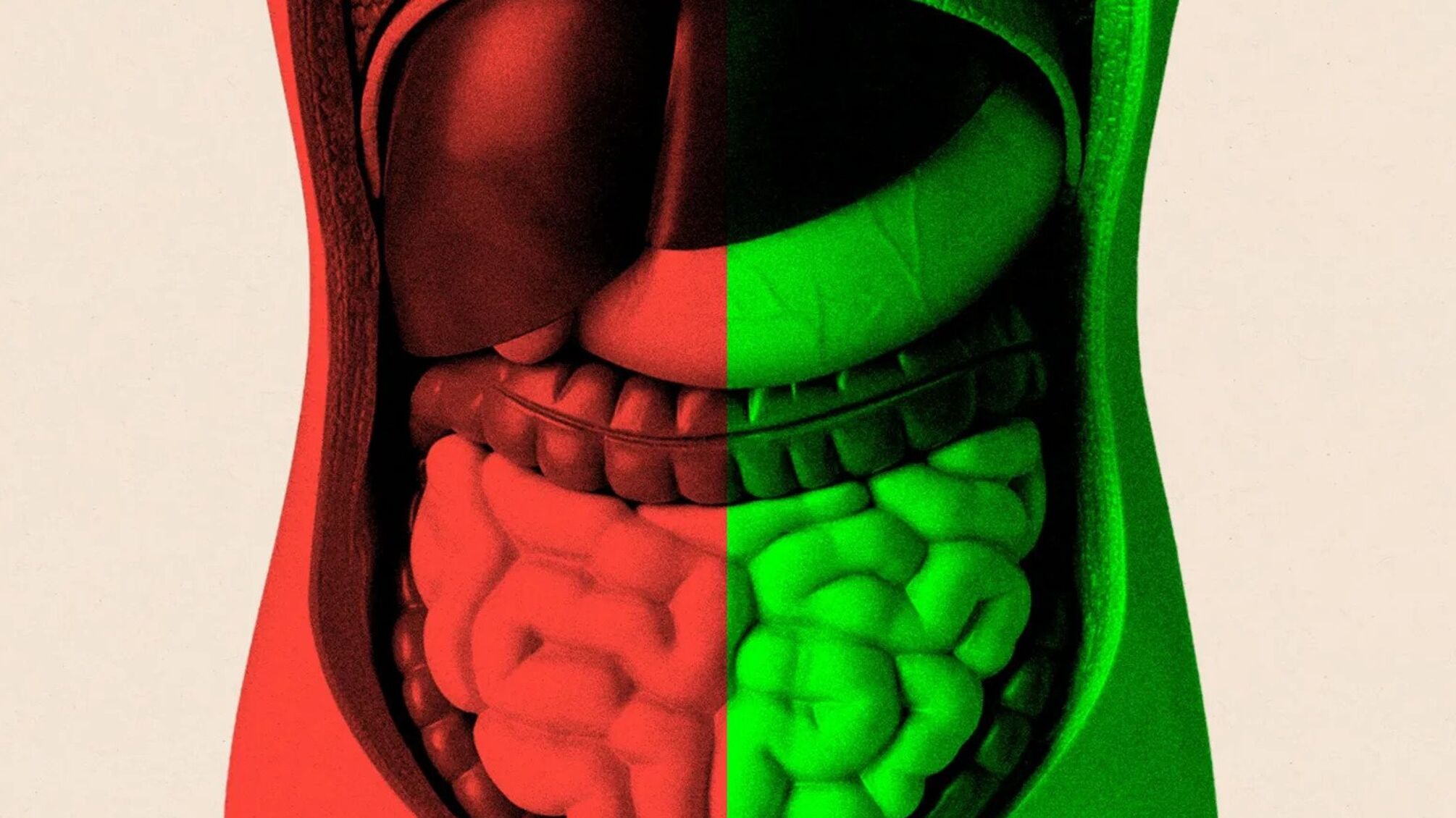 Чи дійсно йогурт і бактерії допомагають жити довше