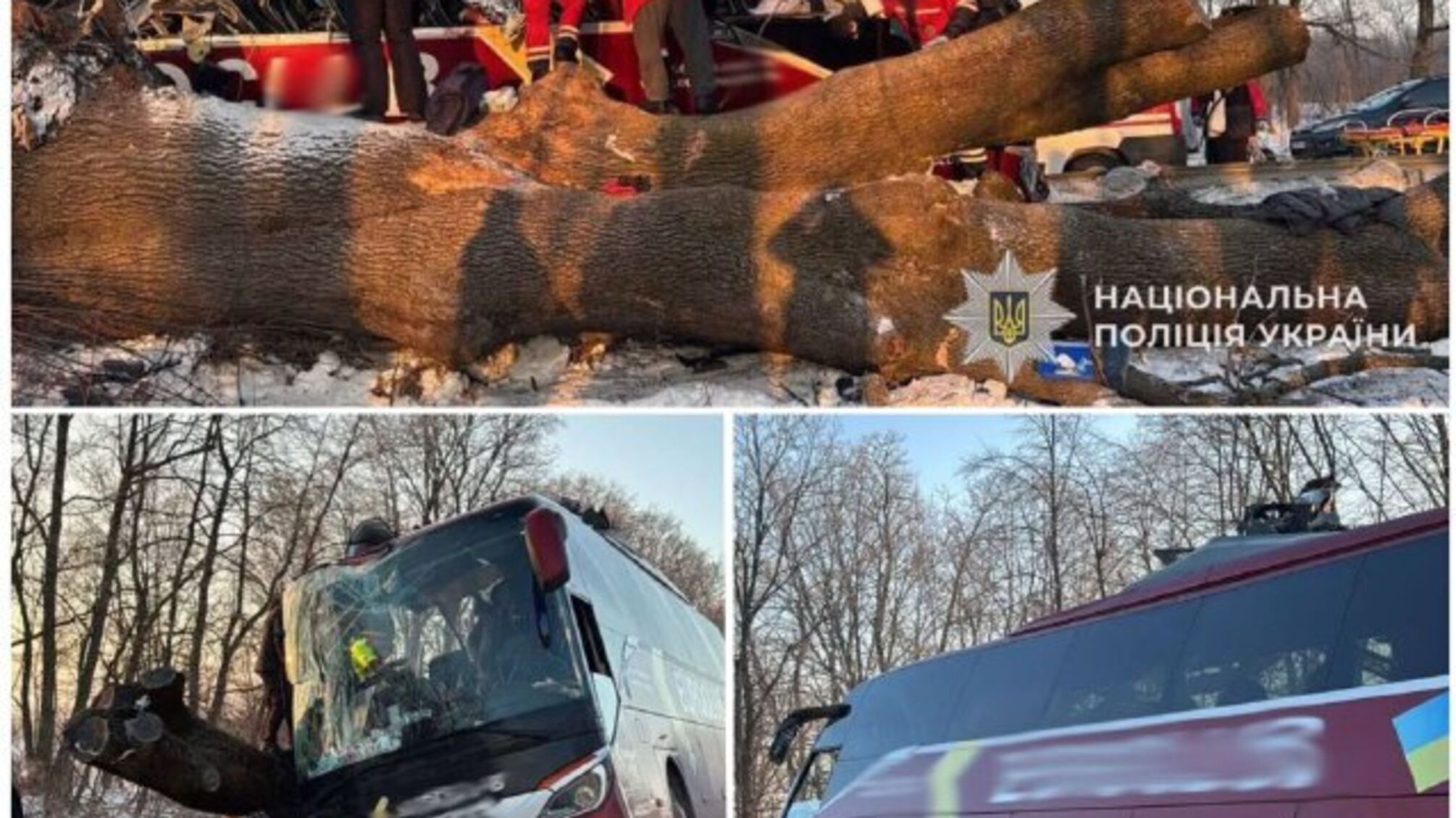 Авария на Львовщине: автобус с пассажирами взлетел с дороги и разбился