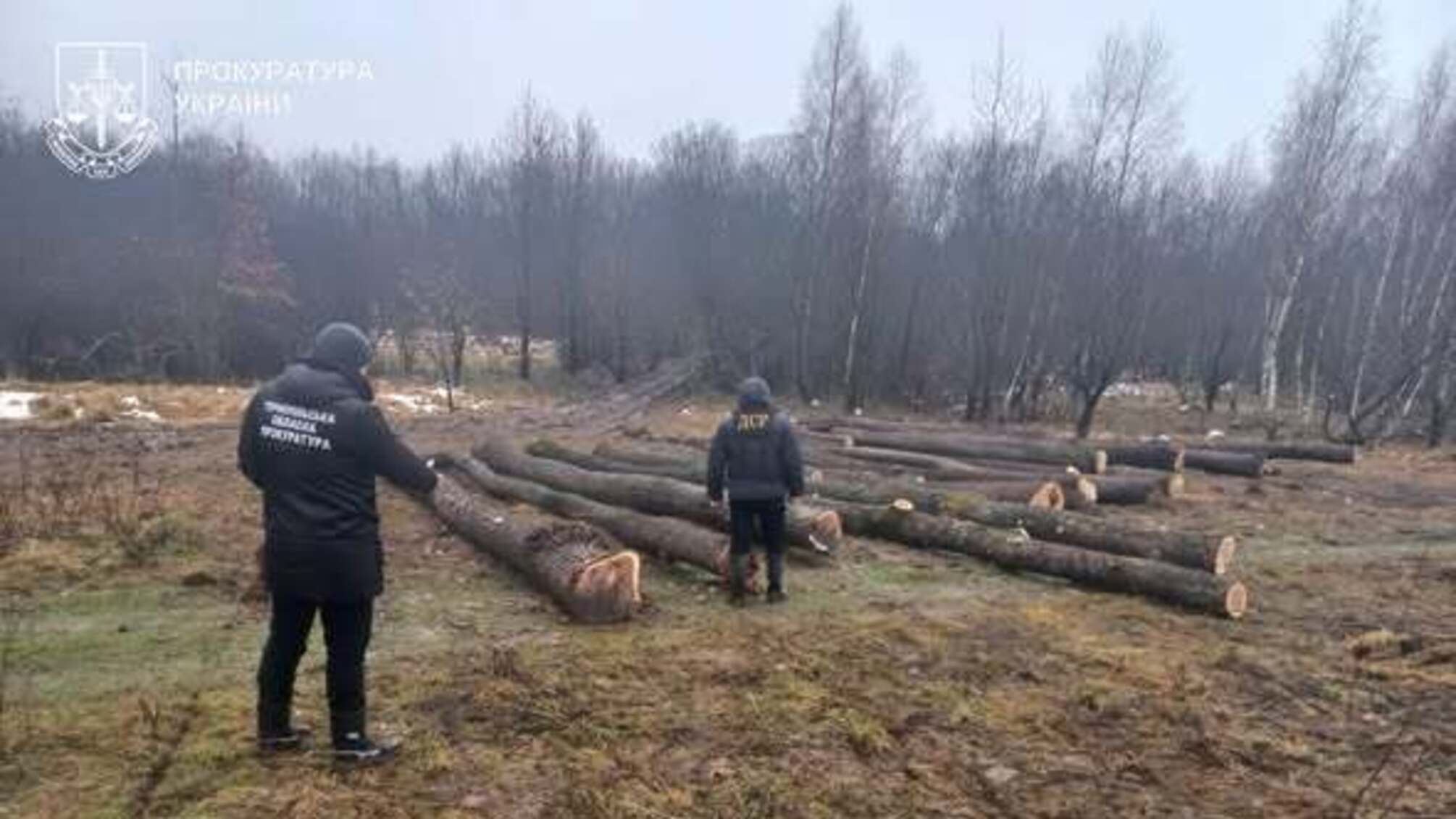 Неправдивые данные о 86 дубах: помощника лесничего отдадут под суд