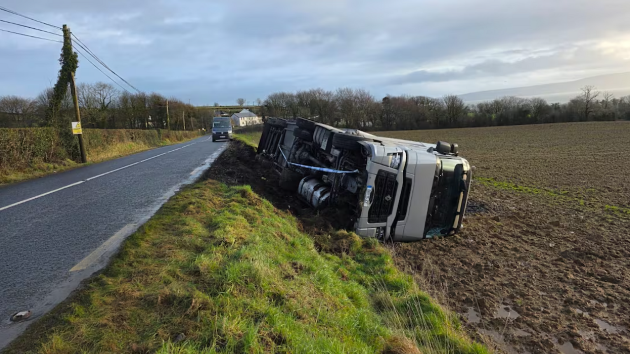 15 тис. крабів втекли з перевернутої вантажівки в Ірландії