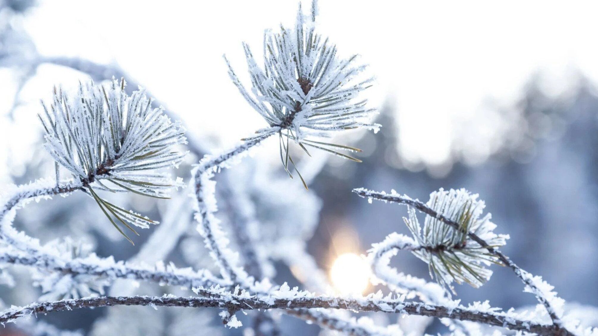 Трагедія біля метро 'Деміївська': чоловік послизнувся на ожеледиці і загинув