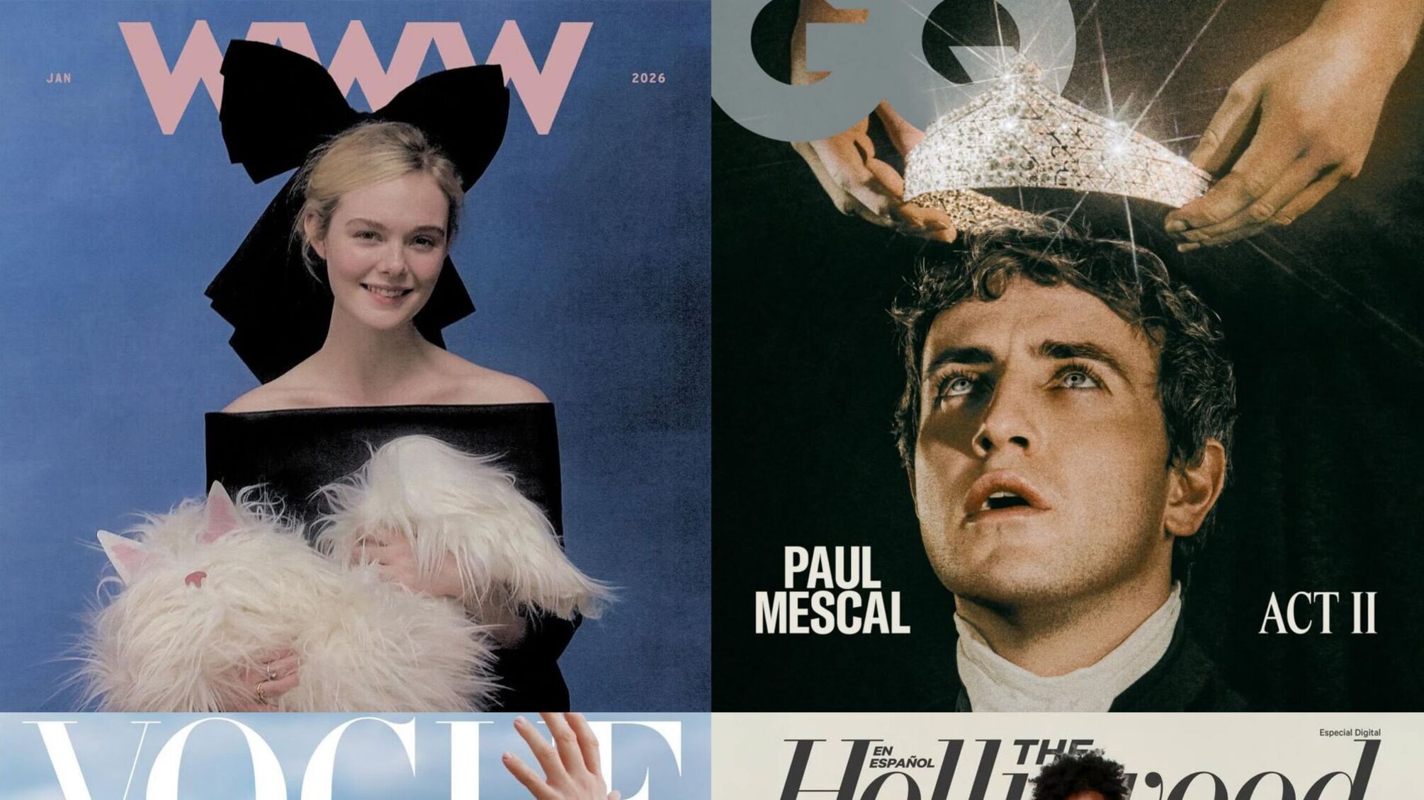 Січневі кавер-сторі: Ель Фаннінг, Пол Мескал, Аманда Сейфрід і брати Даффери