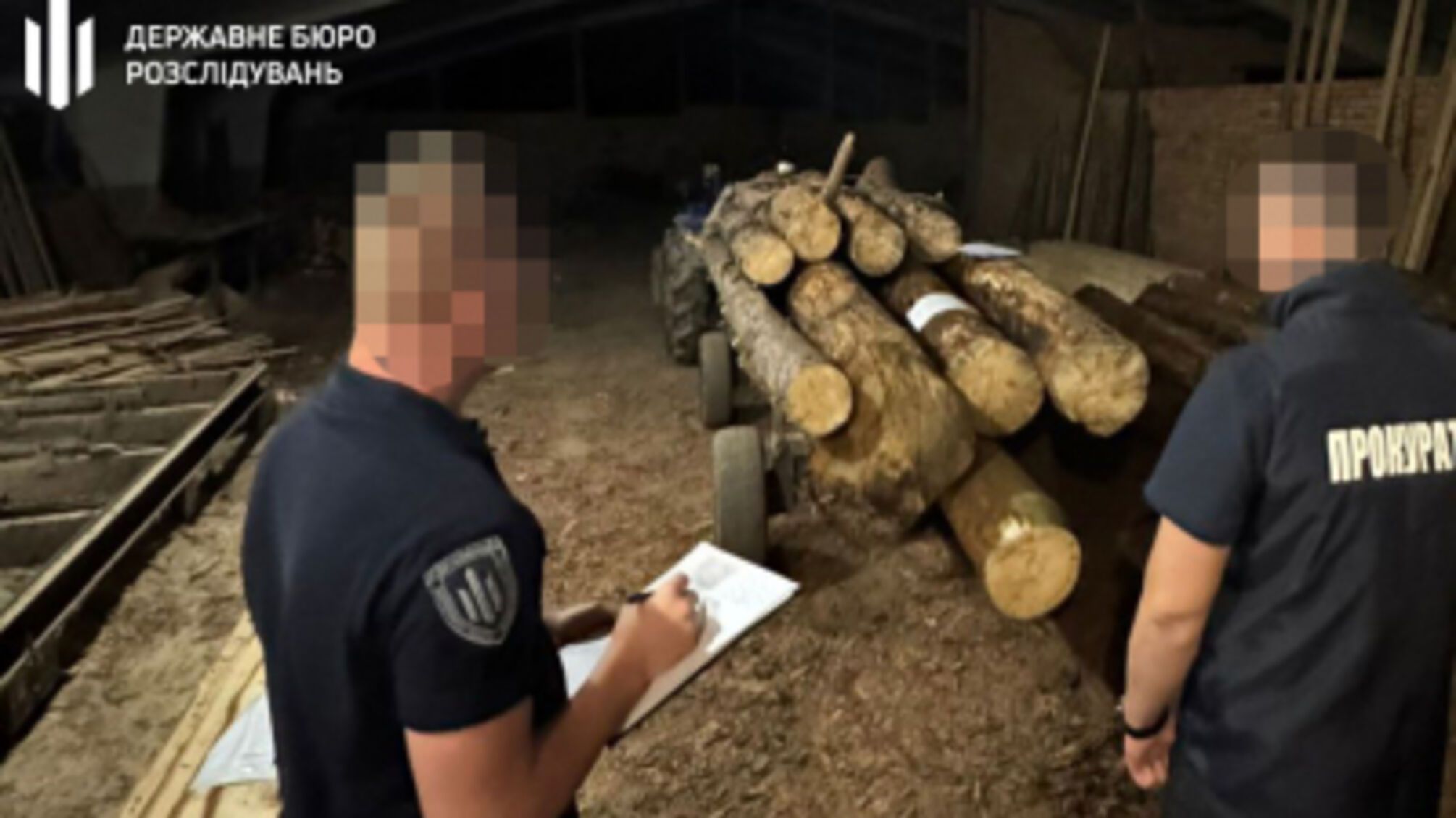 Незаконні вирубки на Рівненщині: судитимуть колишнього лісника та спільників