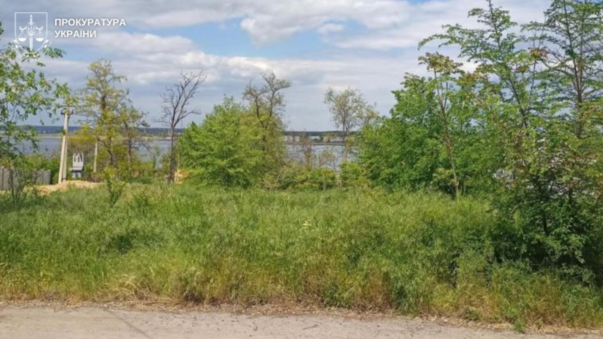 Незаконное оформление лесной земли: подозрение жителю Николаева