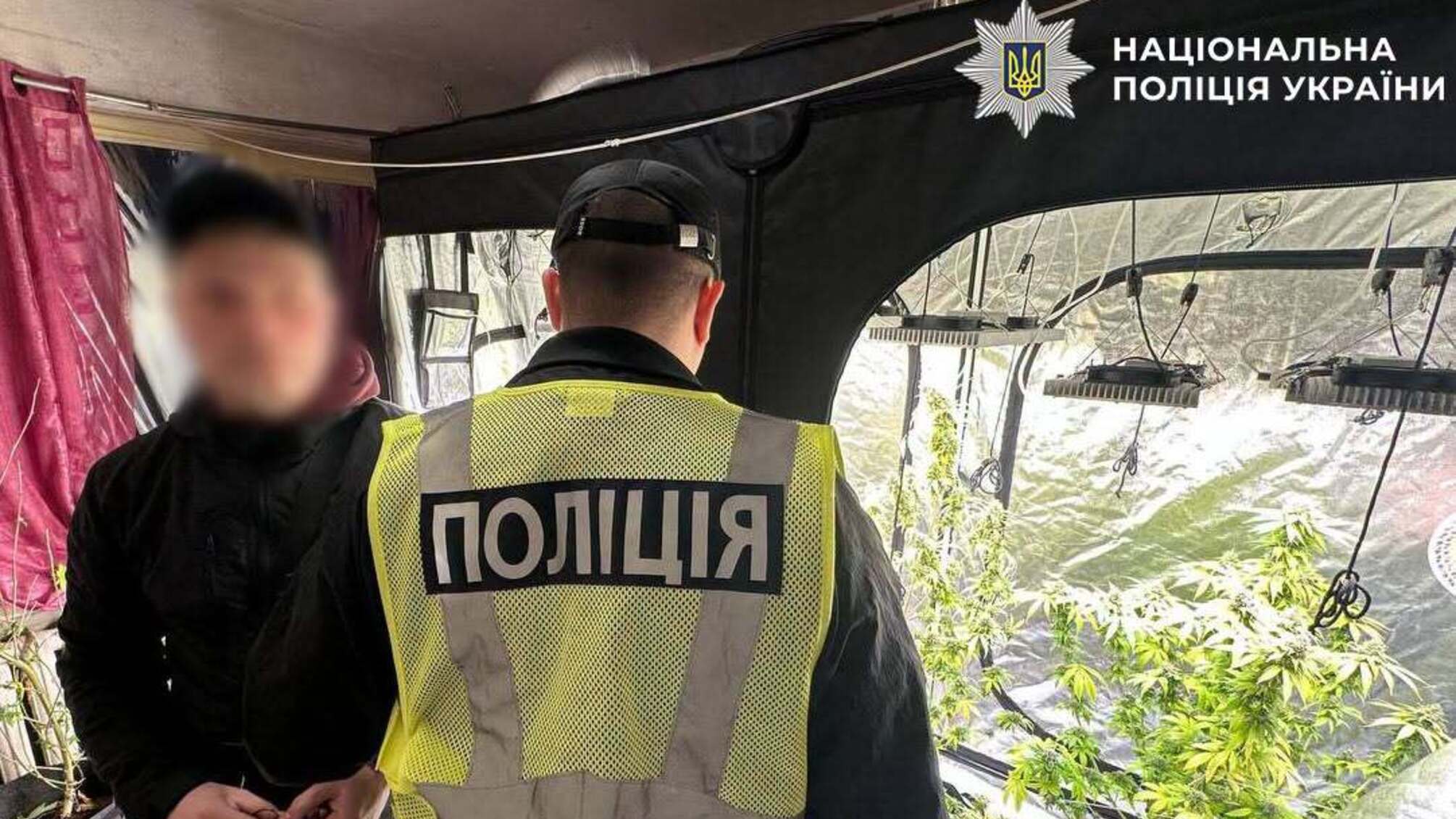 Вирощував коноплі у квартирі та заробляв до 100 тисяч гривень на місяць: у Києві затримали наркоділка