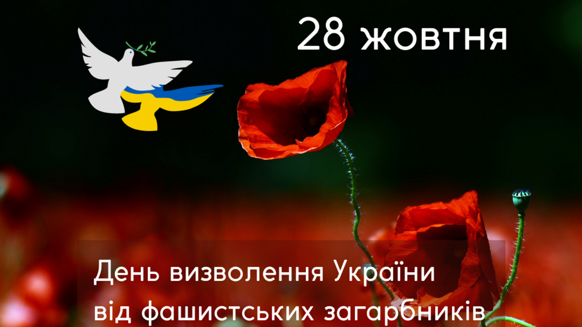 День освобождения Украины от нацистских захватчиков: история, значение и традиции 28 октября
