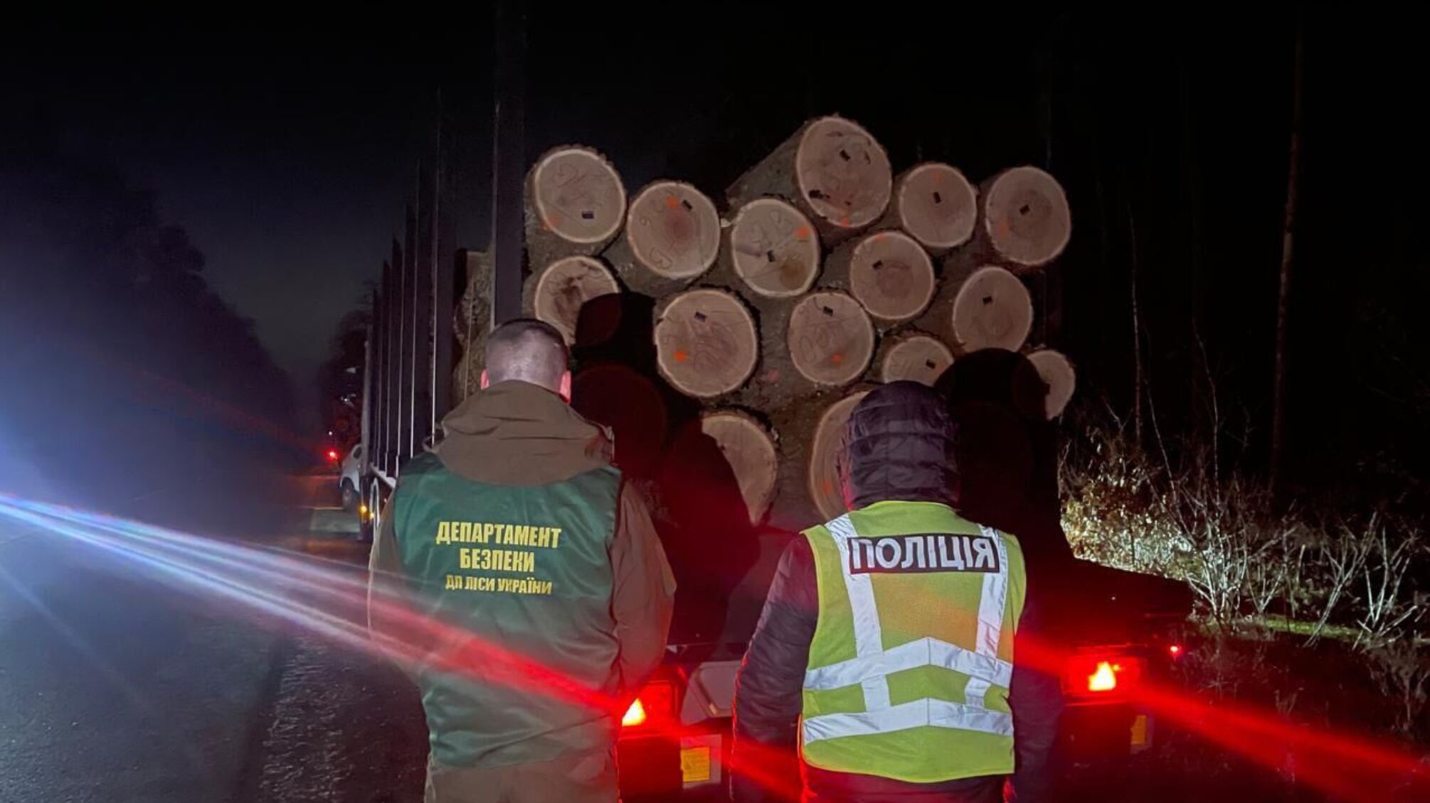 Махінації з деревиною на 8,6 млн грн: судитимуть 13 учасників схеми, яка діяла у шести областях