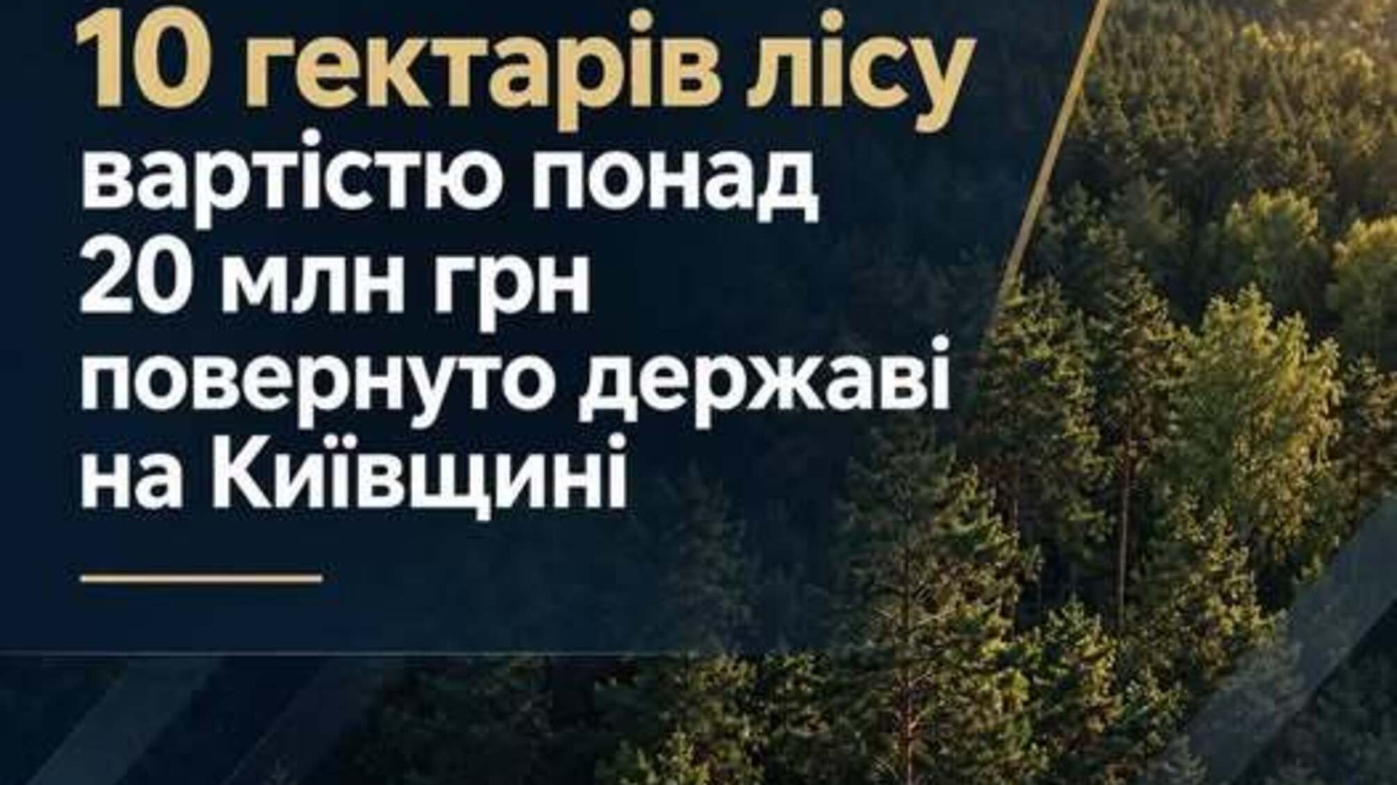 В Киевской области государству вернули 10 гектаров леса стоимостью более 20 млн грн: почему расторгли договоры