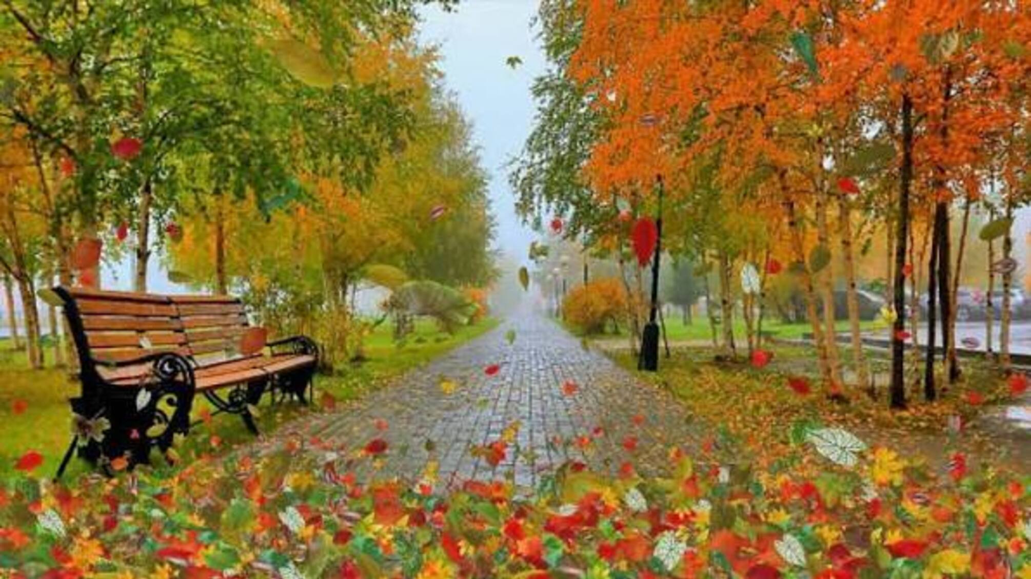 Похолодання, дощі та мокрий сніг: якою буде погода в Україні на початку листопада