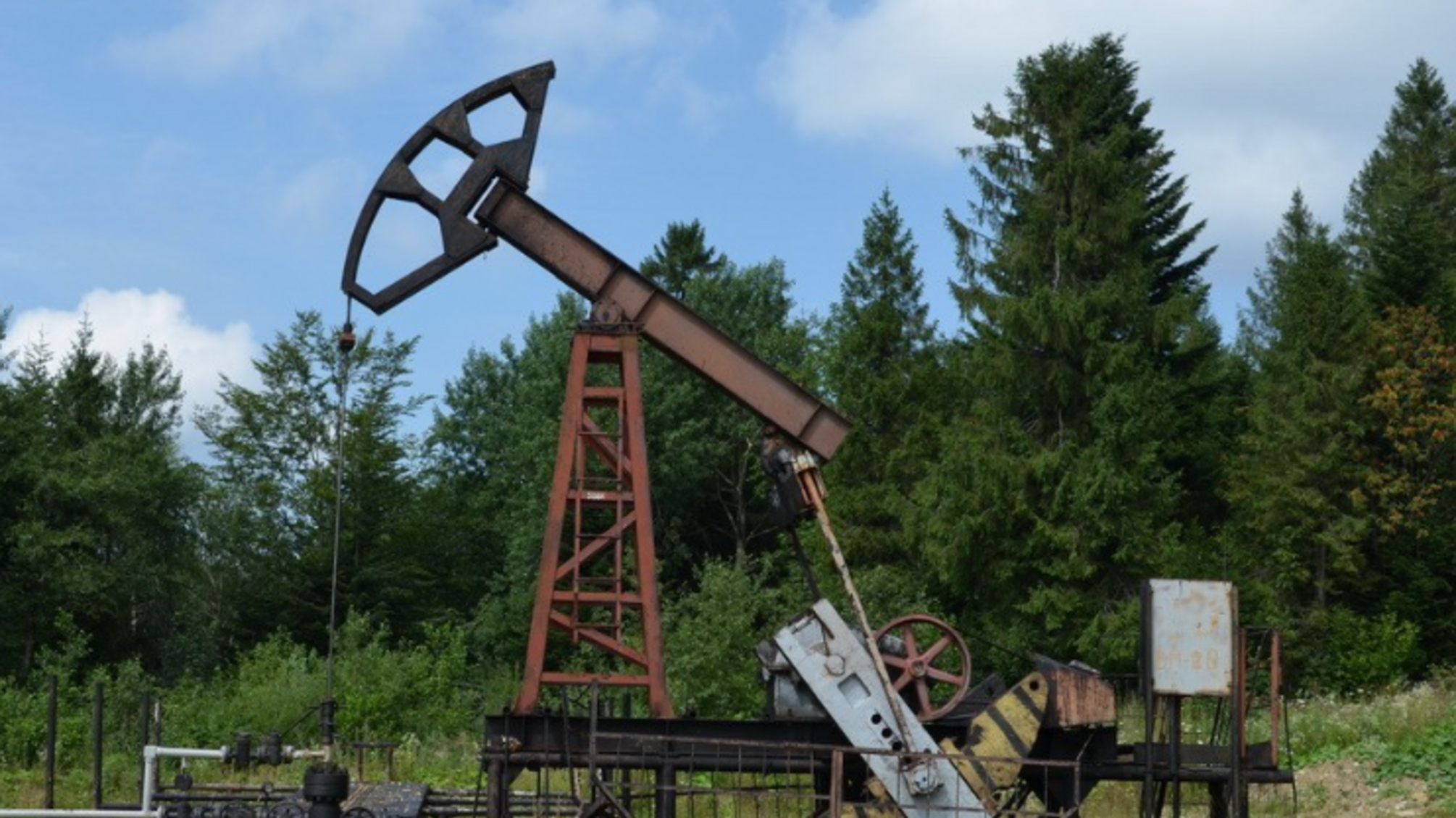 Стинавське родовище під питанням: чому державній 'Укрнафті' відмовили в аукціоні