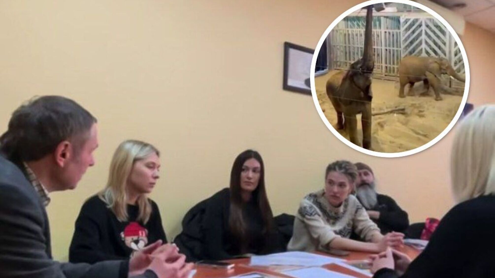 Решение о комиссии в Одесском зоопарке