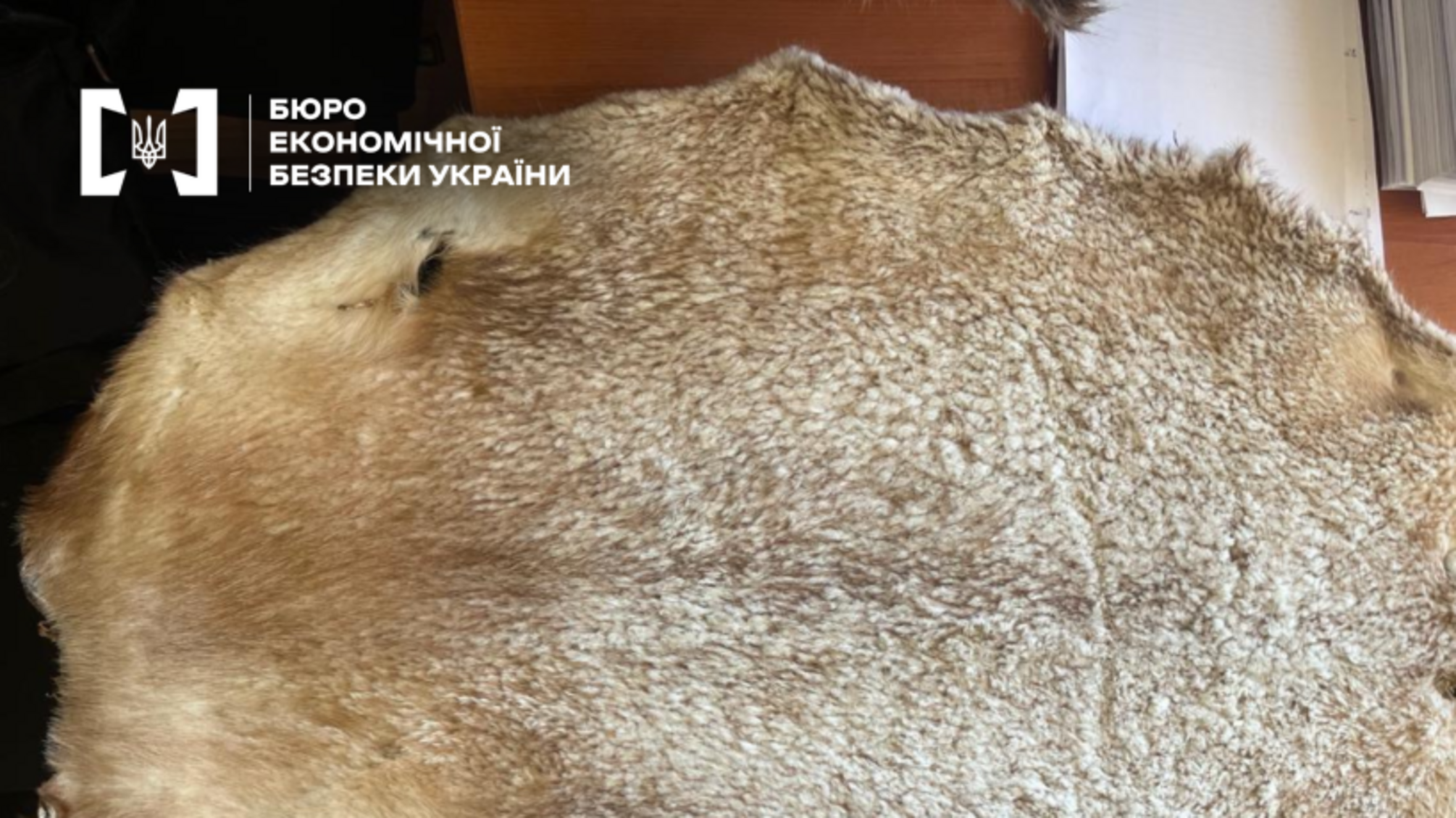 На Закарпатье будут судить руководителя предприятия за контрабанду меха более чем на 11 млн грн