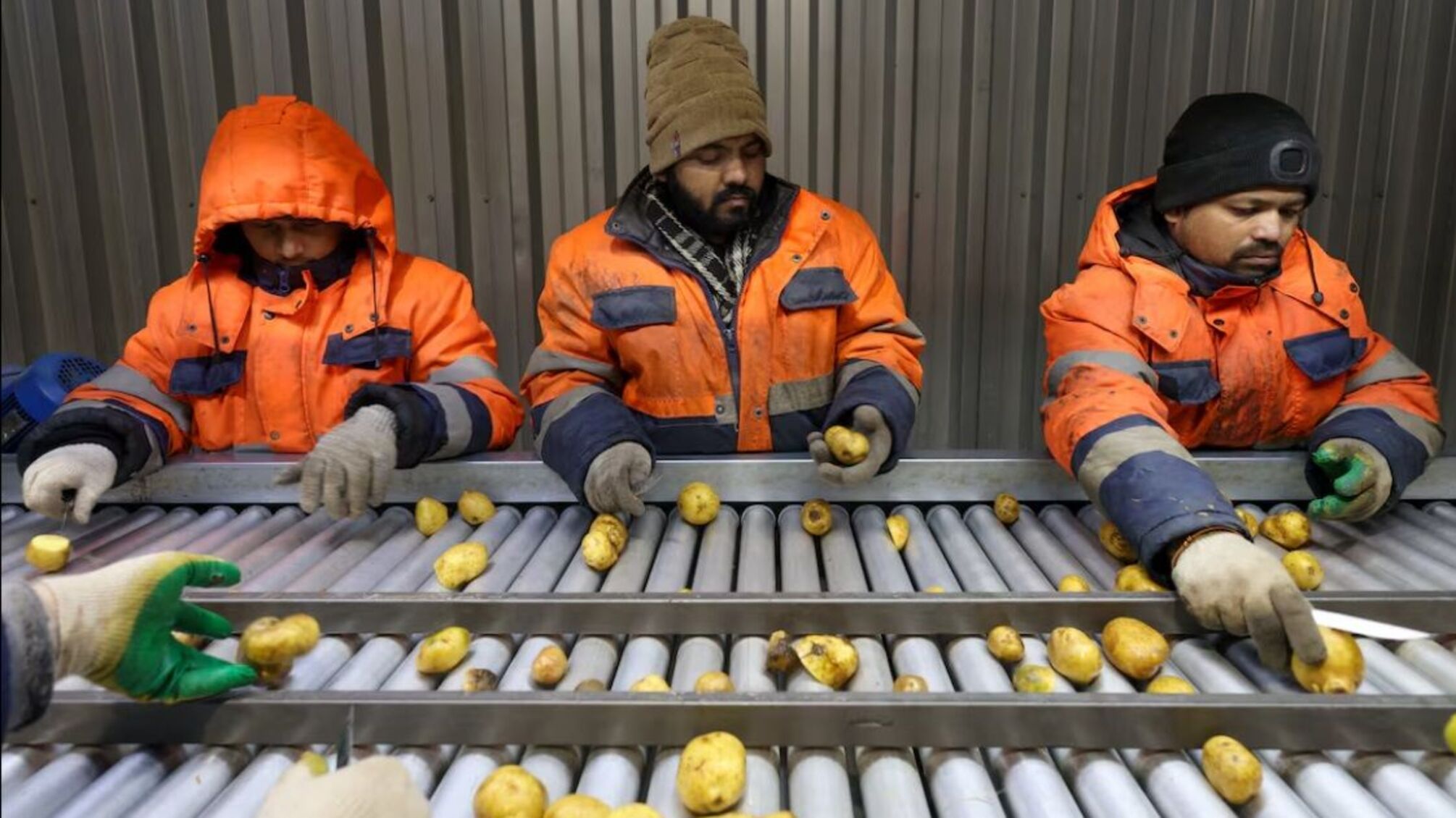 Росія залучає індійських працівників через дефіцит кадрів у виробництві та сфері послуг