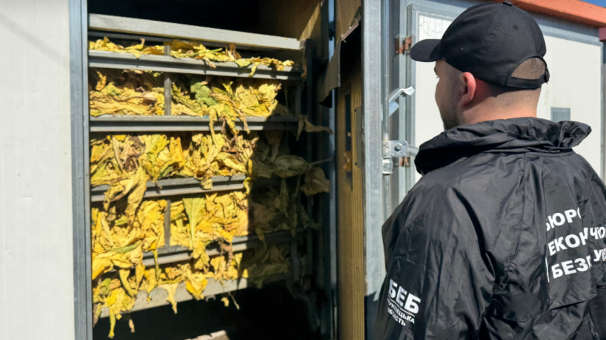 На Буковині судитимуть фермера за незаконне виробництво та збут 25 тонн ферментованого тютюну на 30 млн грн