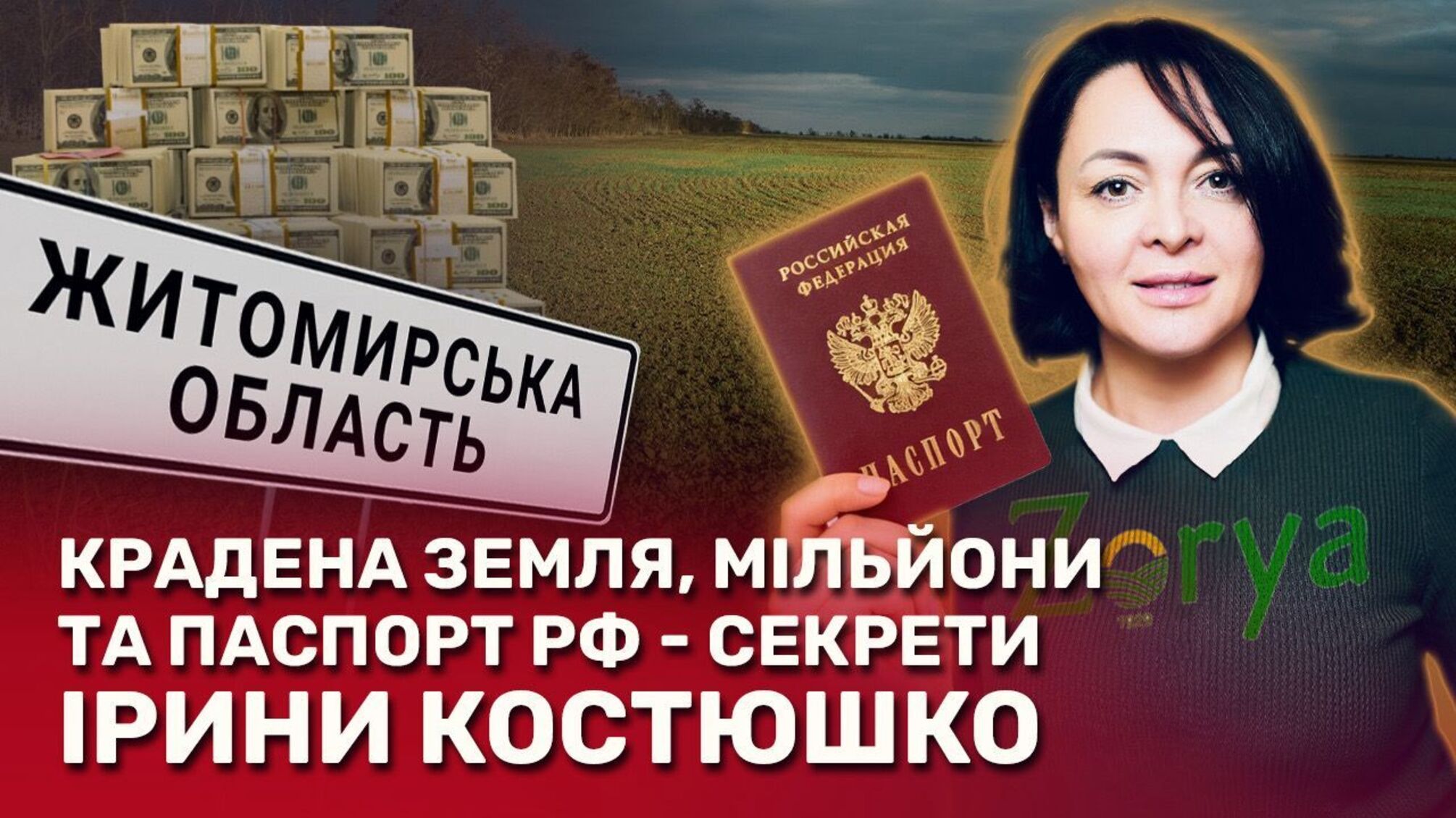 Імовірний паспорт рф, 34 самовари і 500 гектарів 'чужої' землі: розслідування про депутатку Костюшко
